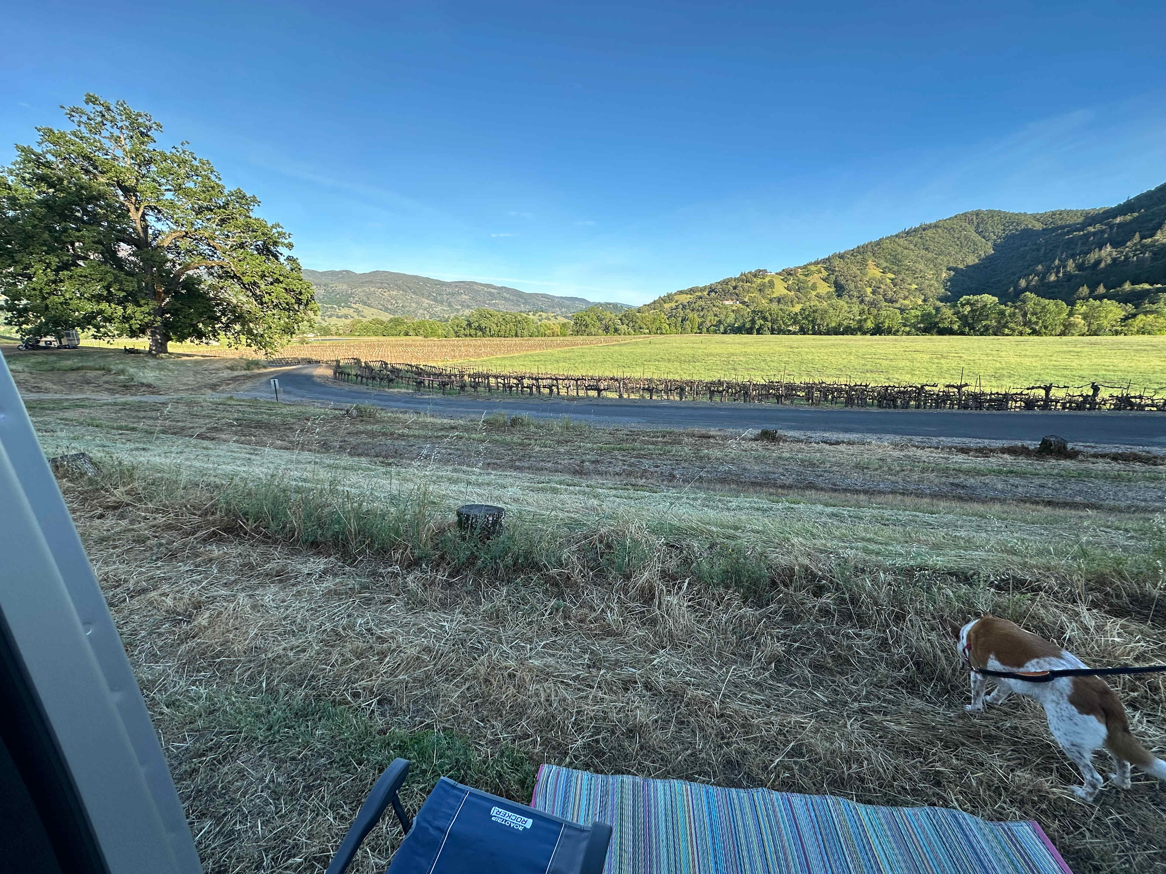 The view from our camper van. 