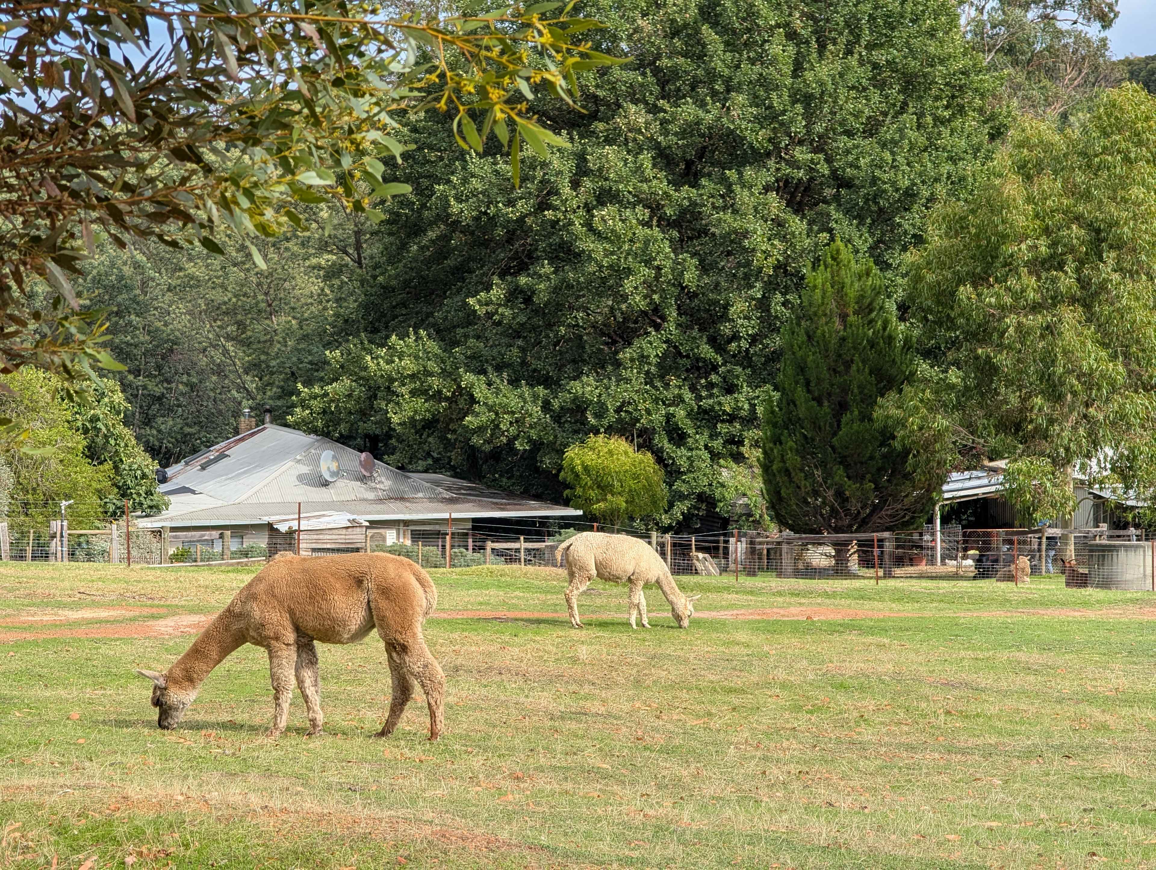 Murray Farm Stay in Dwellingup