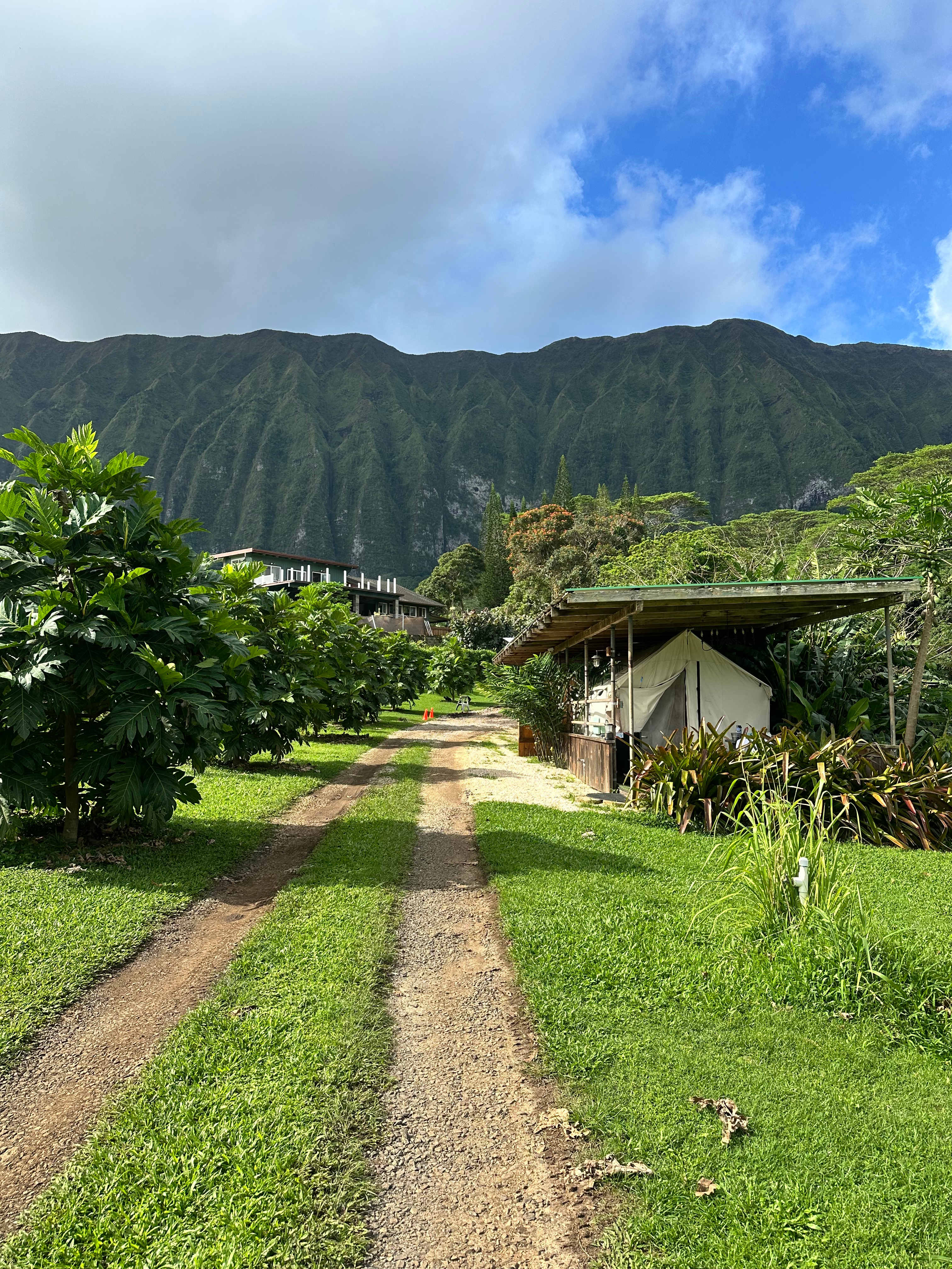 Waimanalo Farmstay