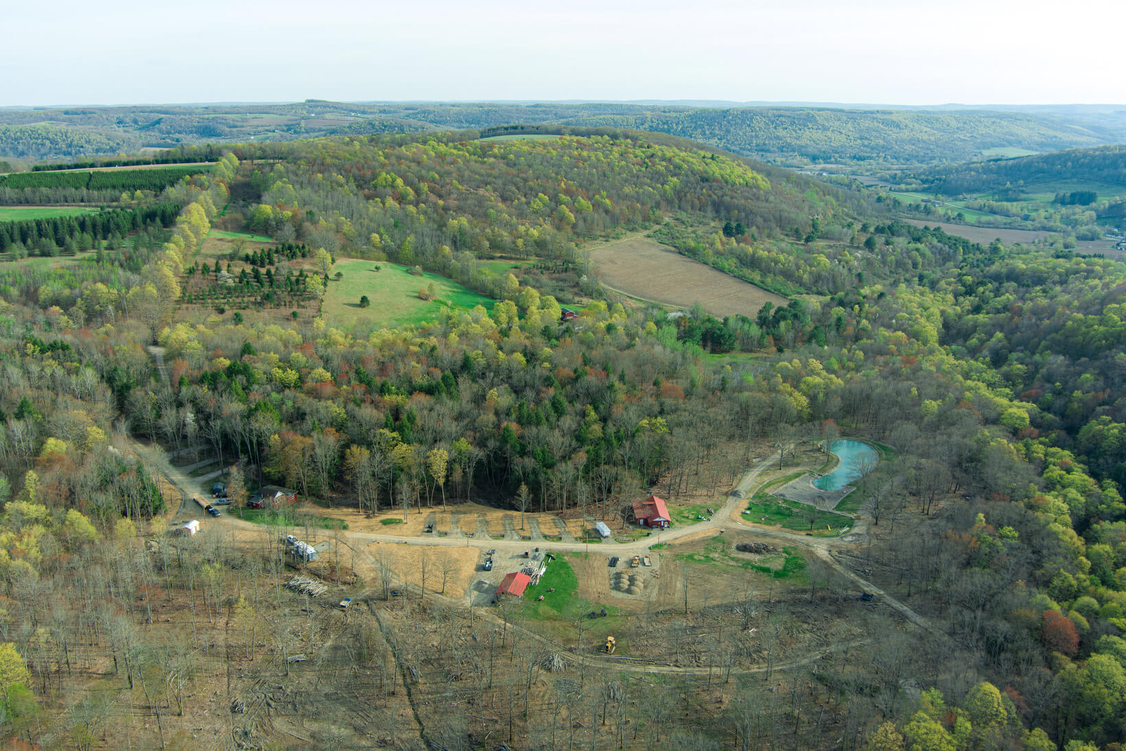 Picture of the site