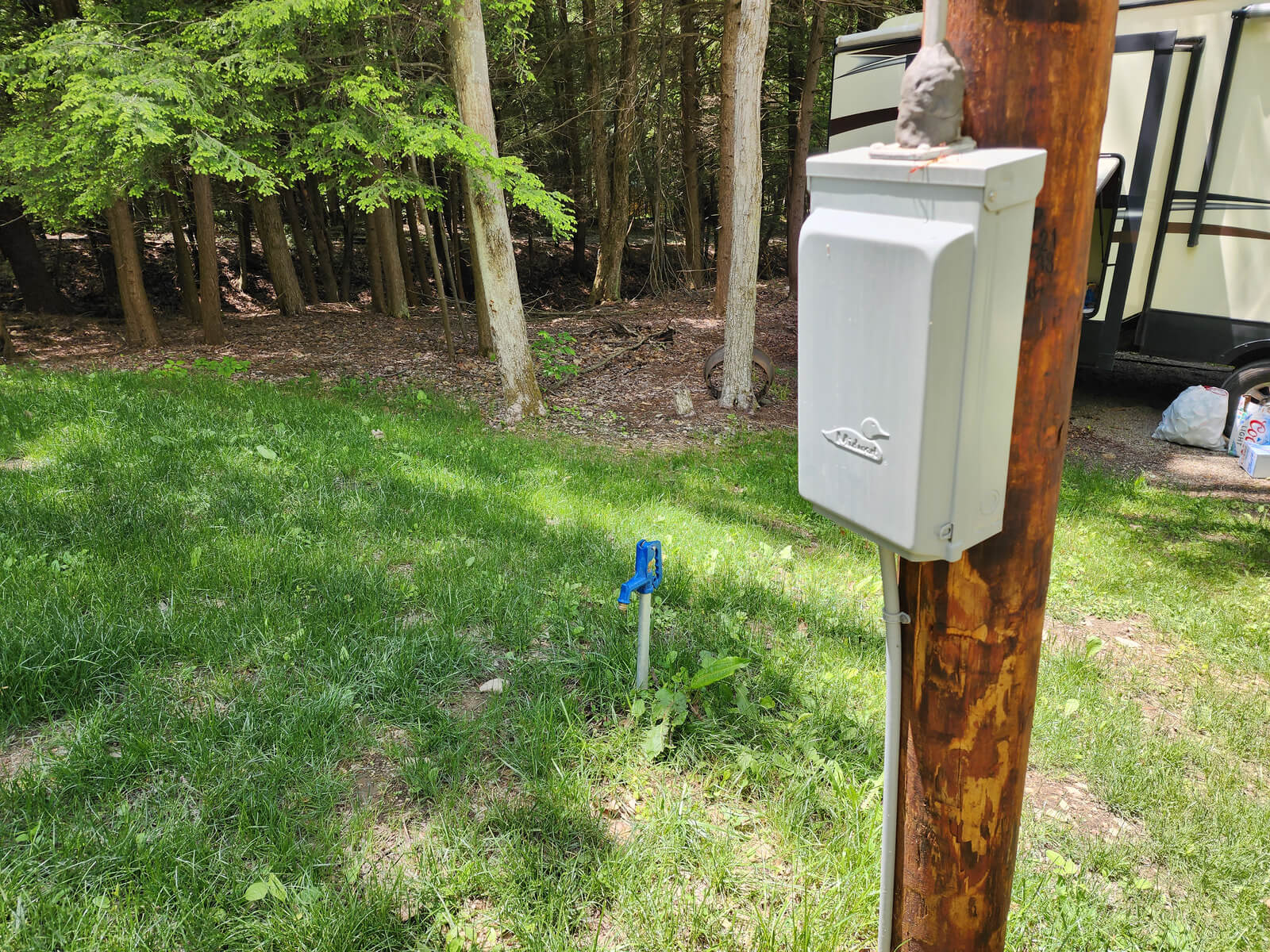 Picture of the site