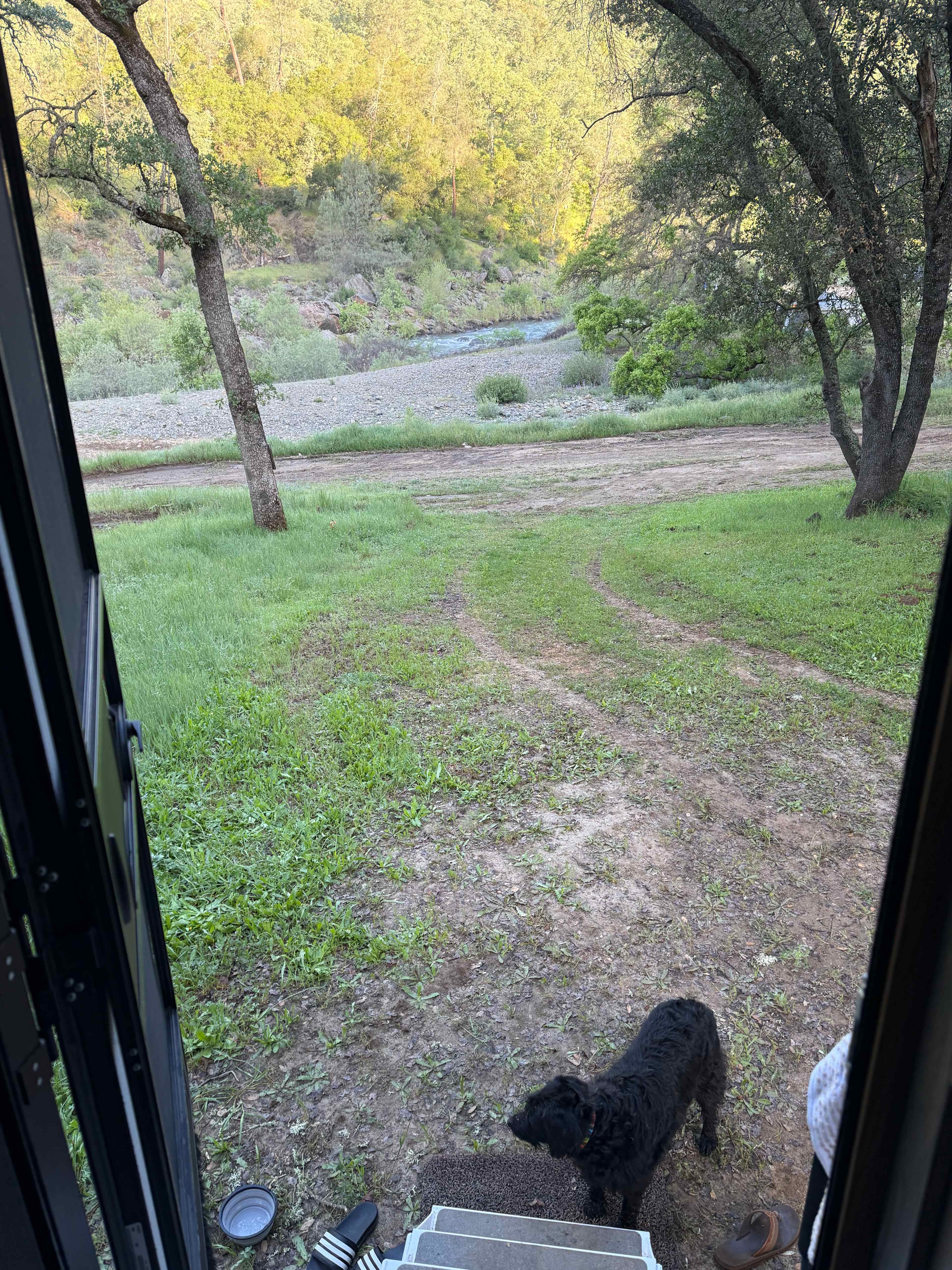 Looking out from the camper