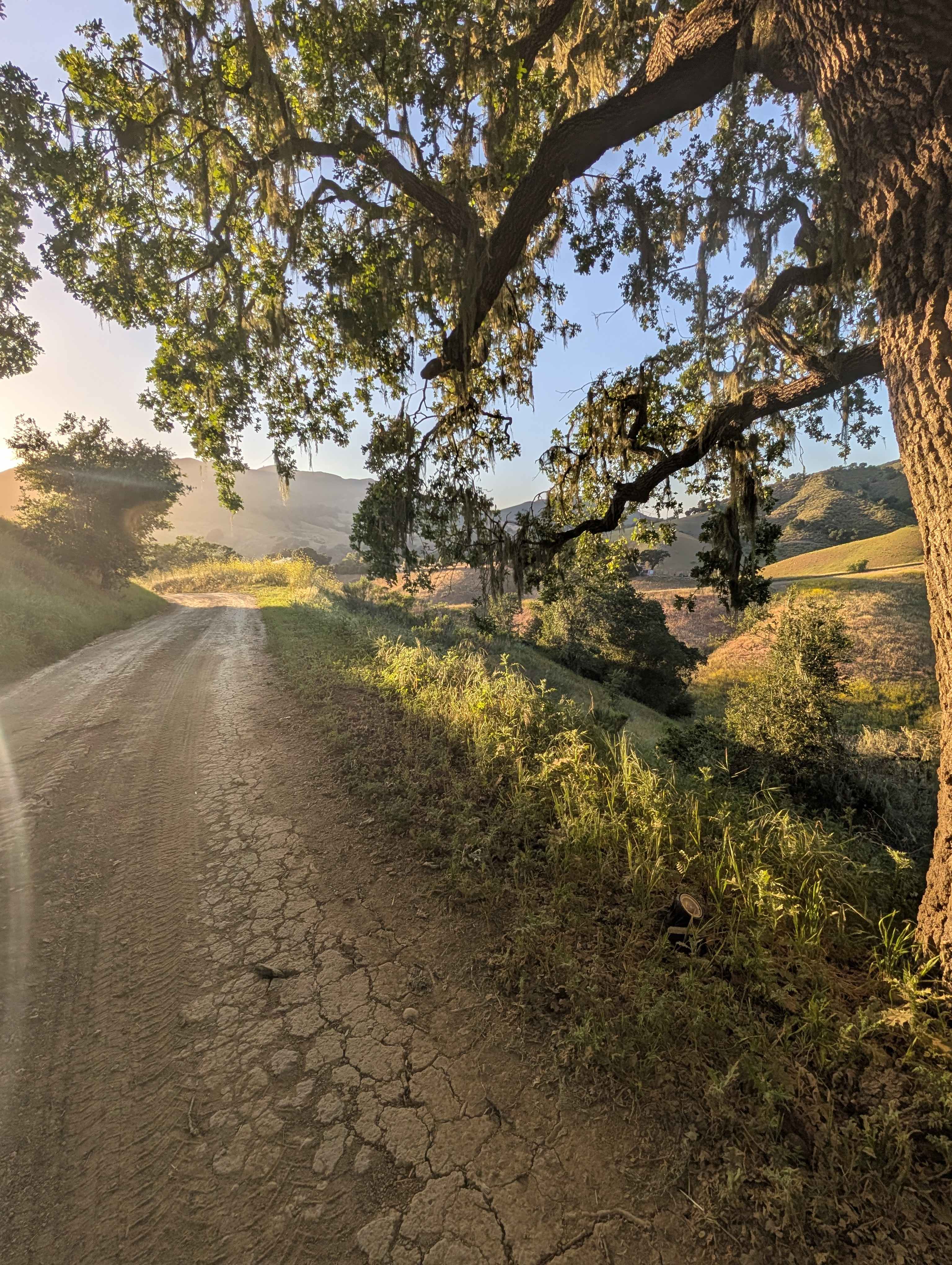 Freedog Farms @ Cactus Flower Ranch