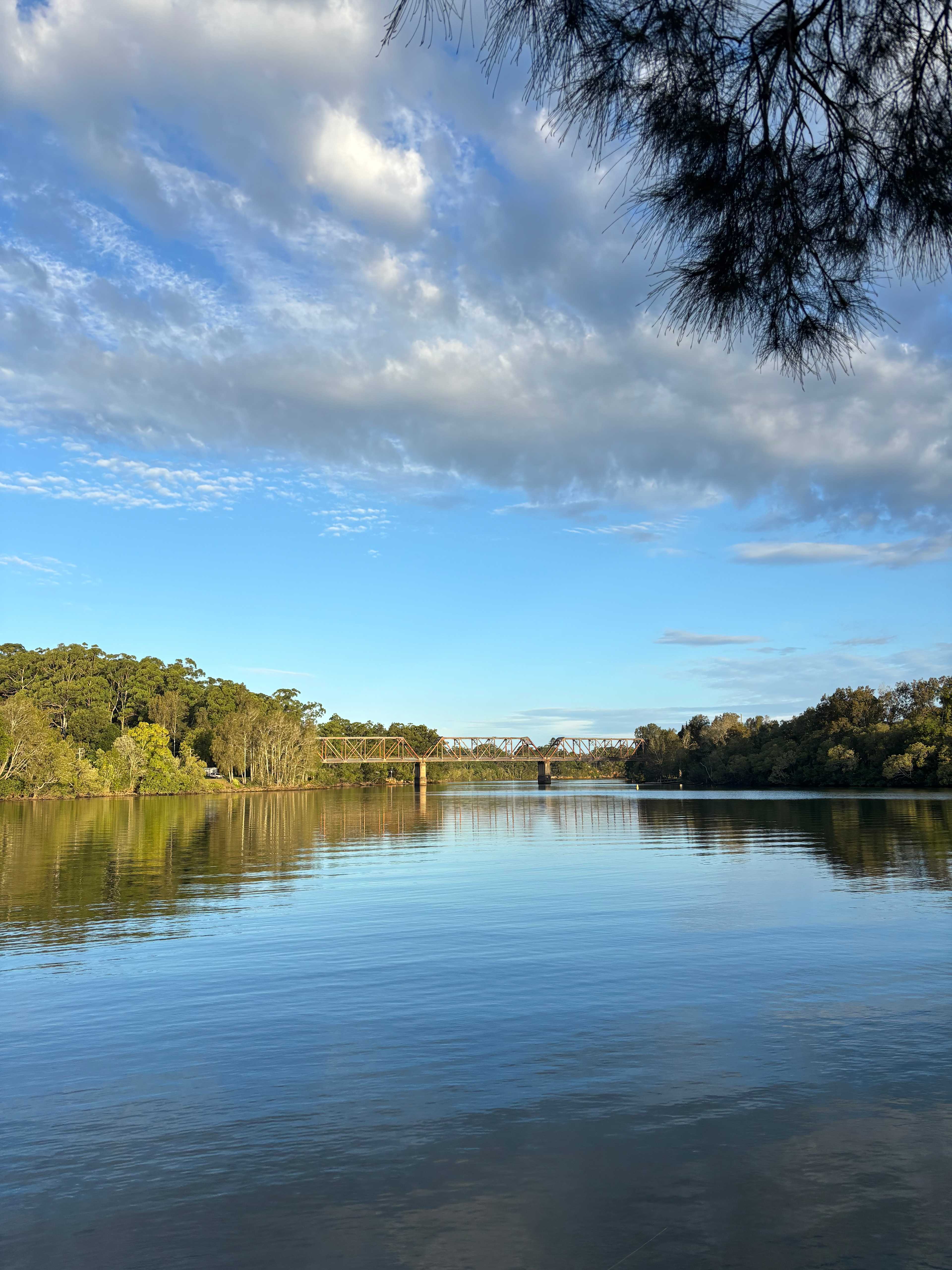 Bellinger River Tourist Park