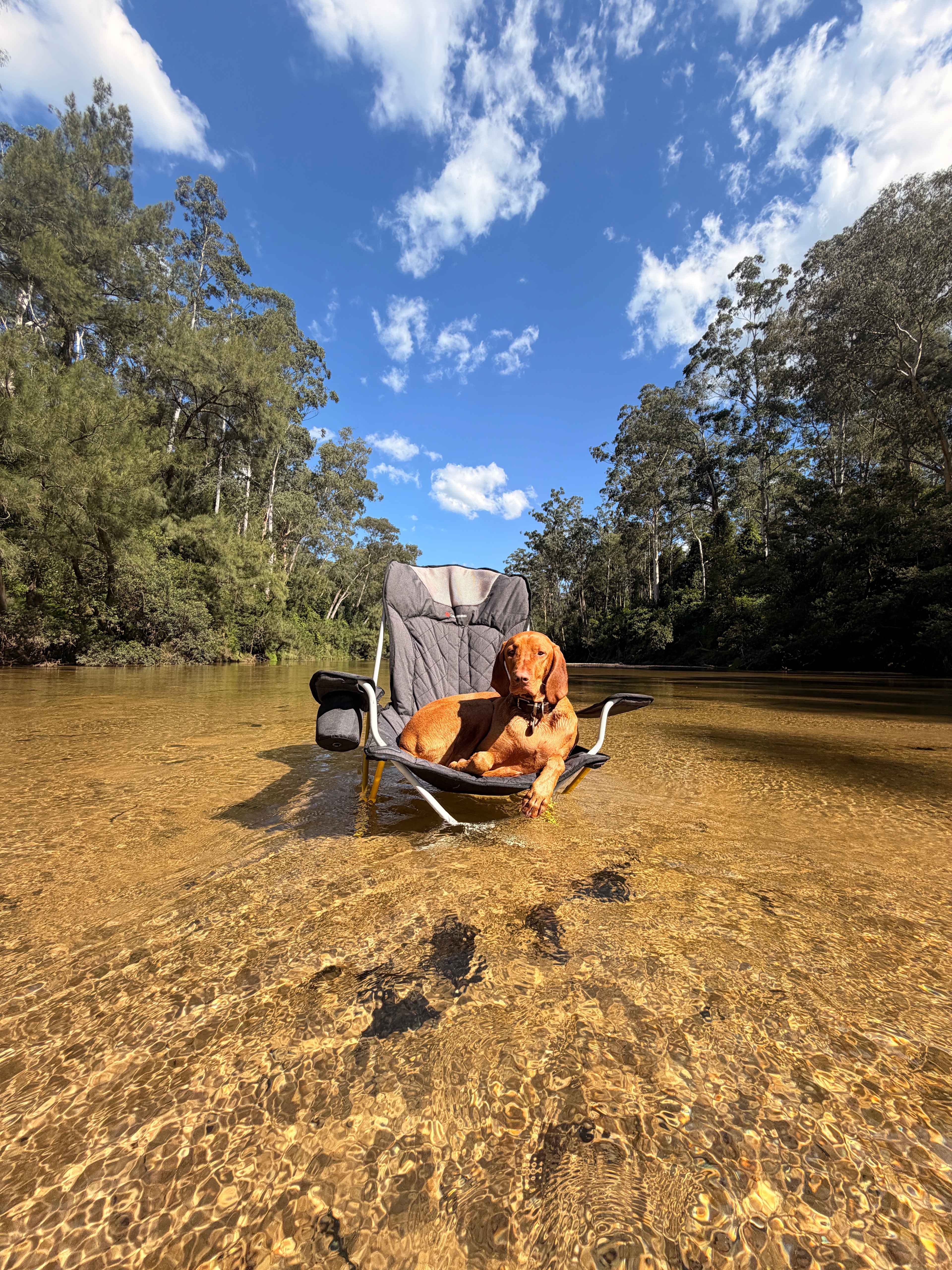 Whispering Gums Colo River Camping