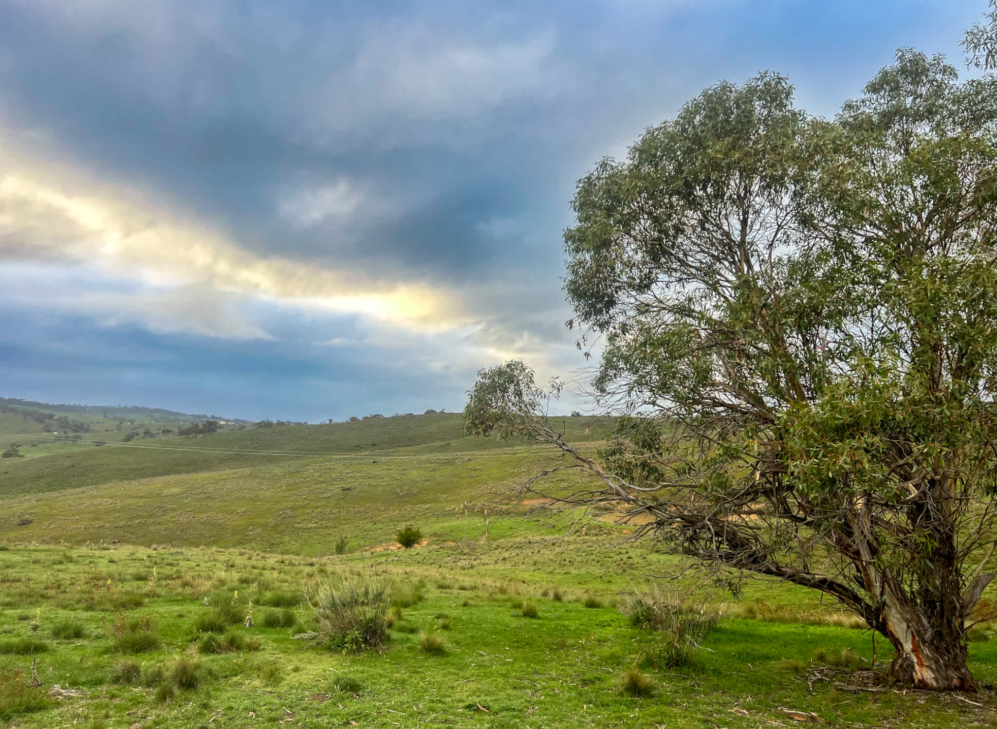 Harros Hill, Jindabyne