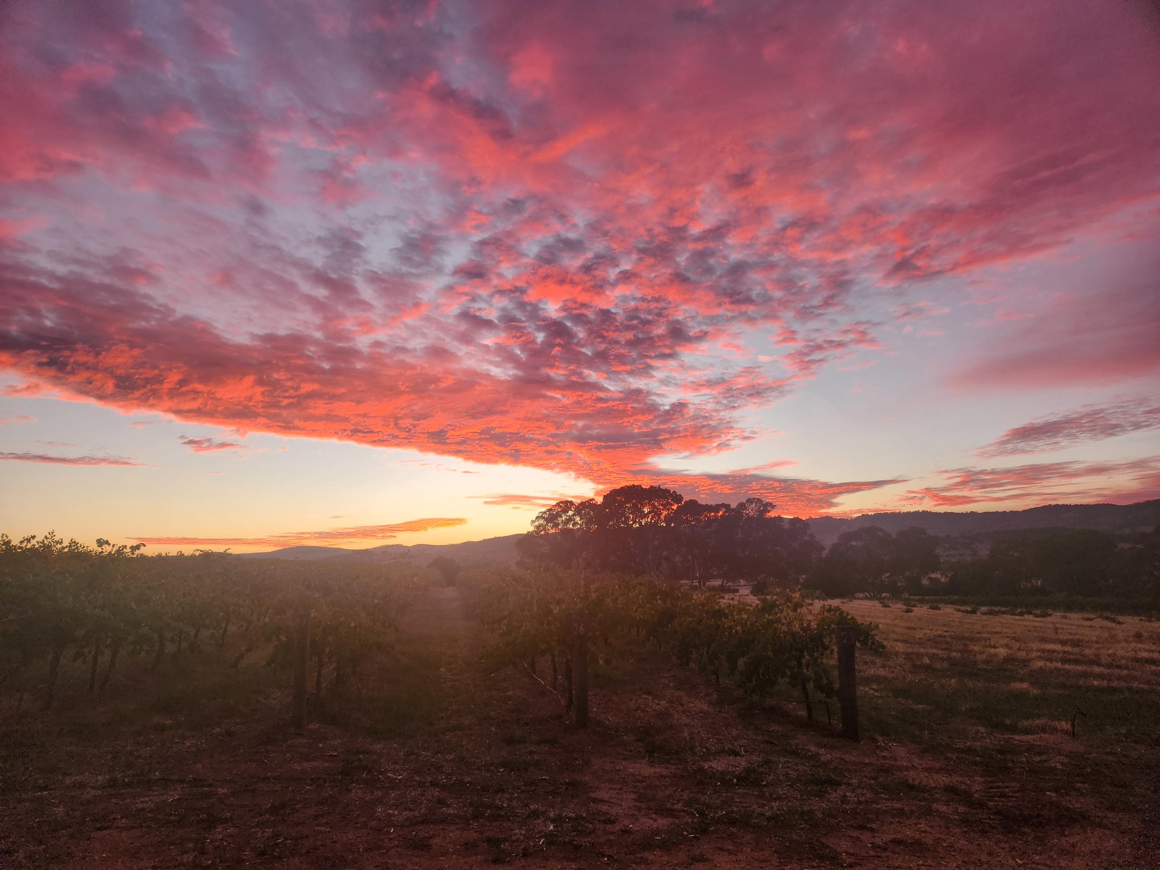 God’s Hill Wines & Ennia Cucina