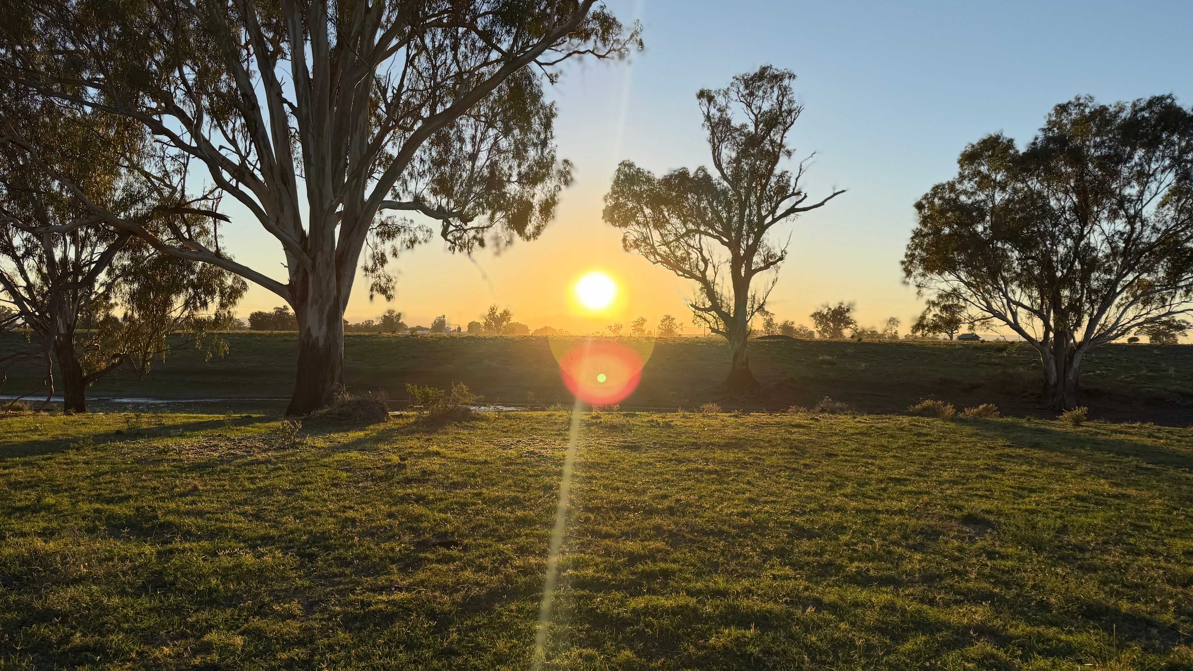 A beautiful sunrise