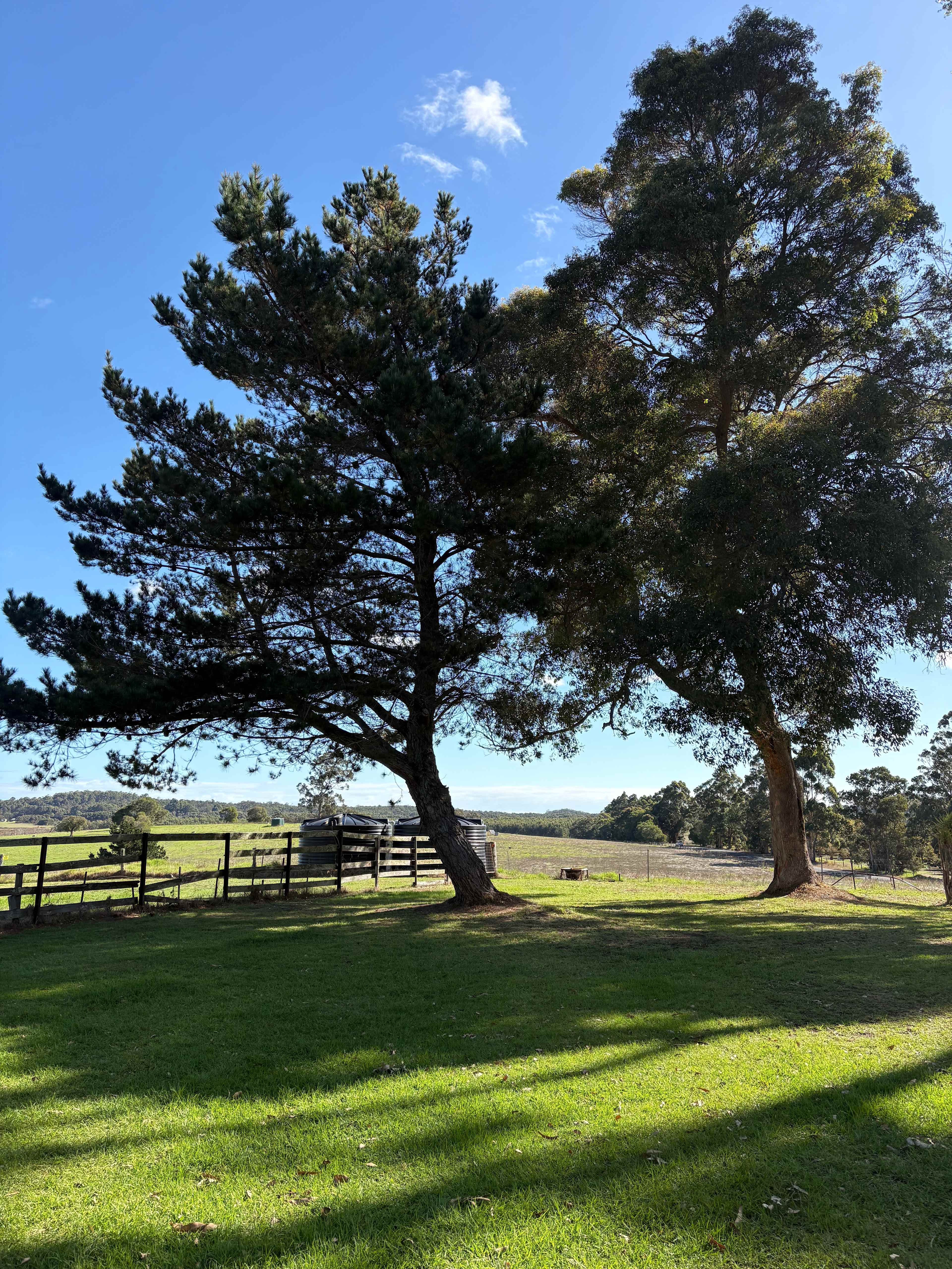 Green Valley Farm Stay