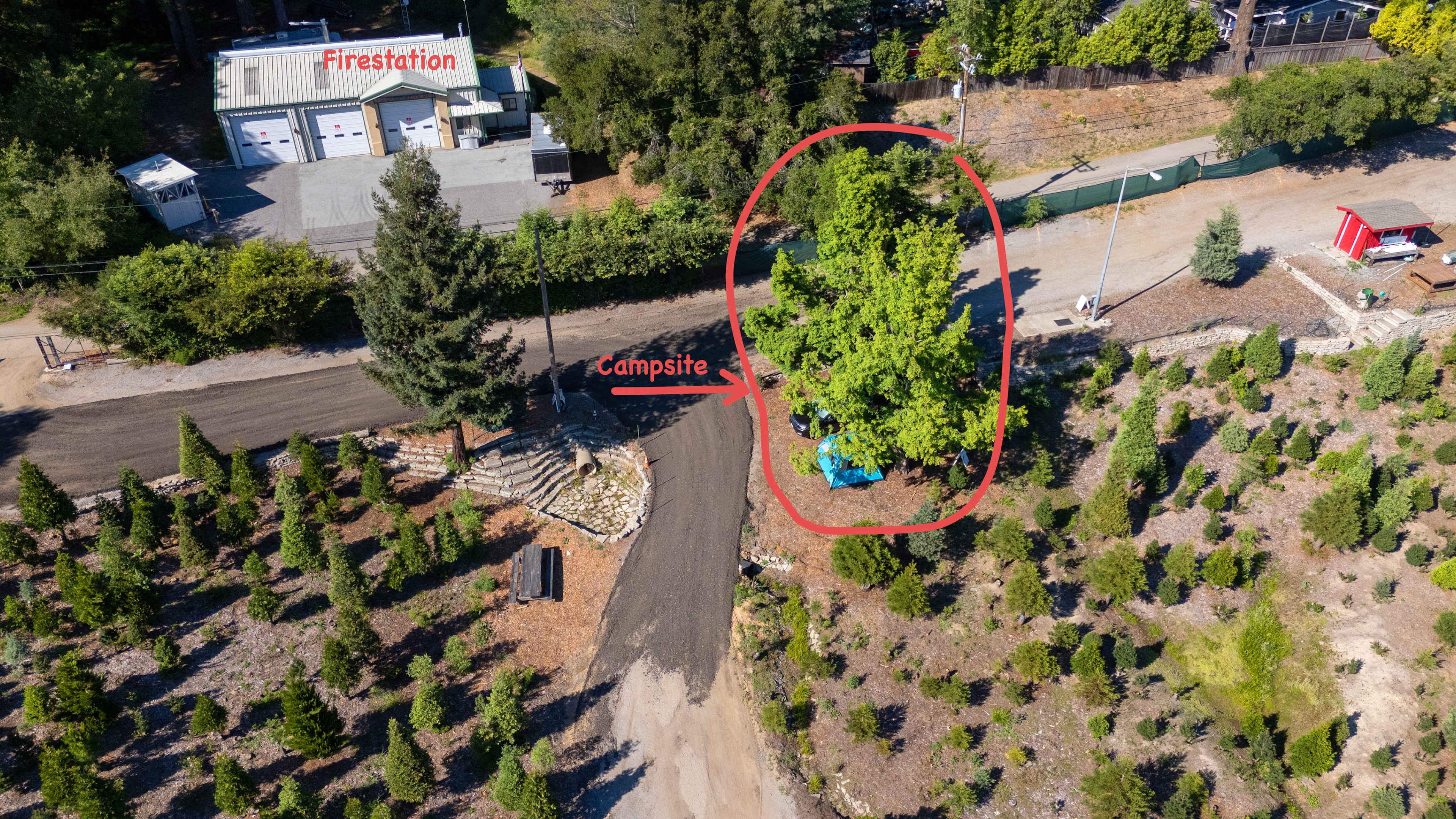 Patchen Christmas Tree Farm
