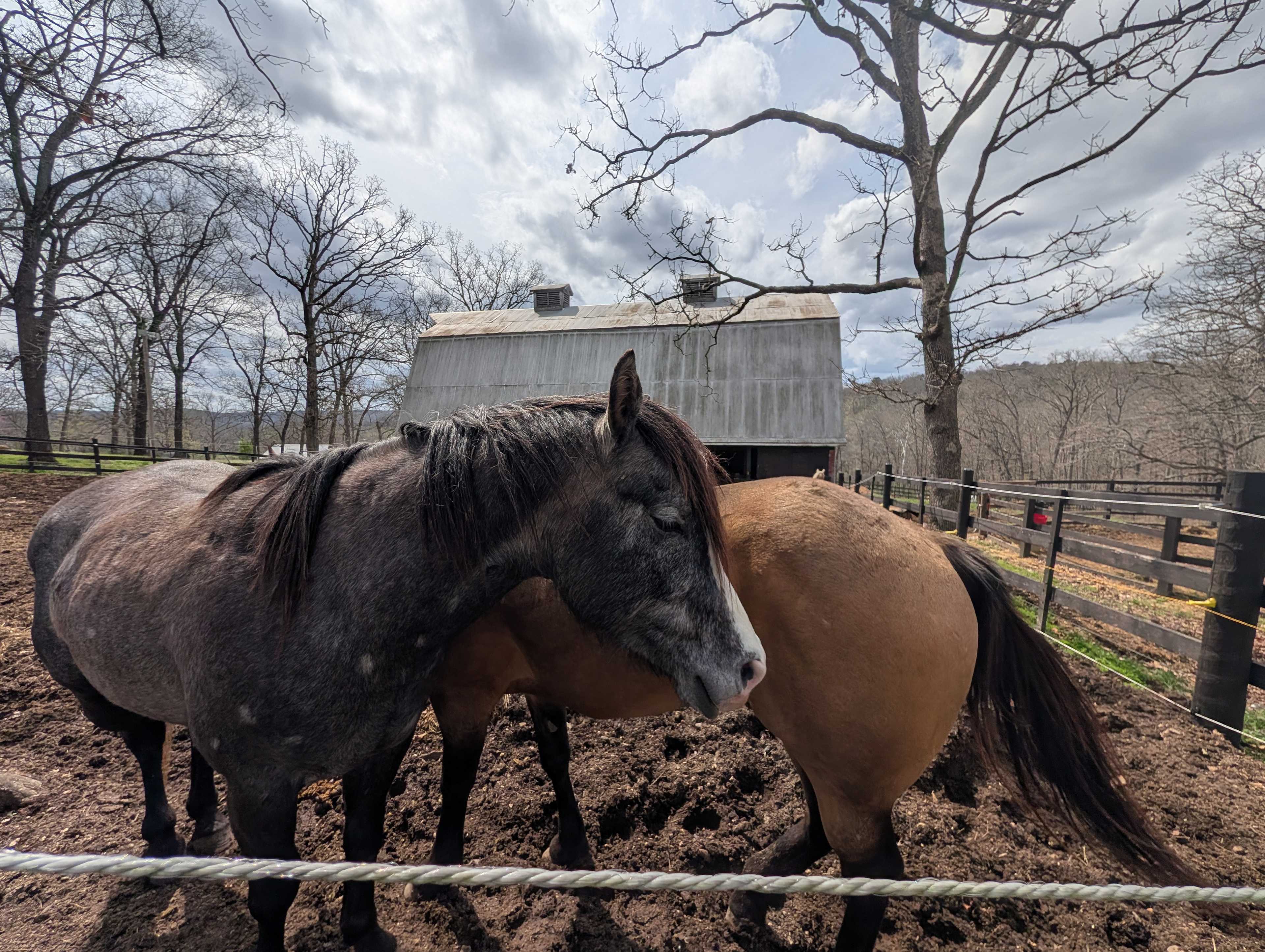 Spring Lake Ranch
