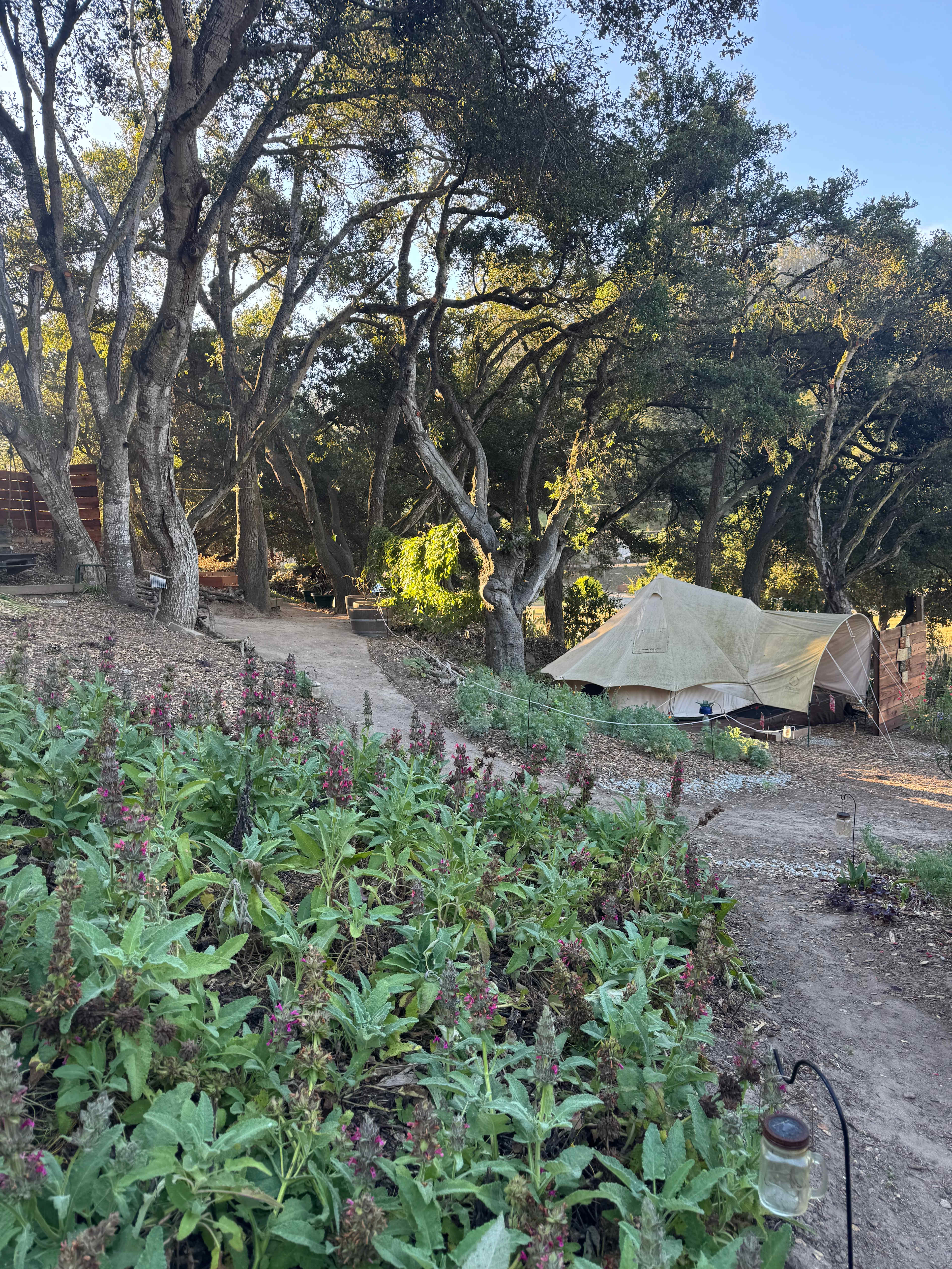 Vega Vortex-Gaia Health Retreat