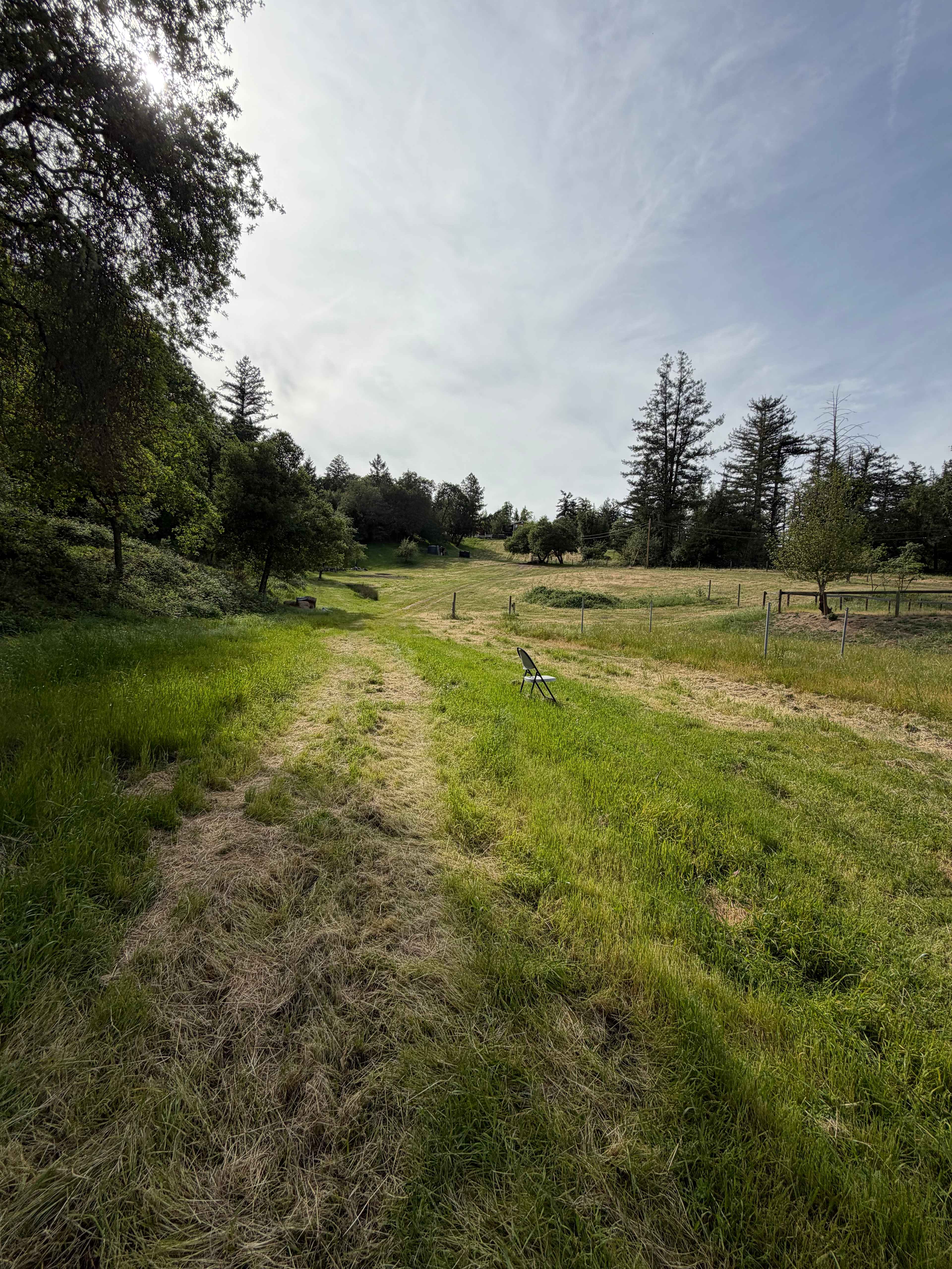 Santa Cruz Mountain Camping