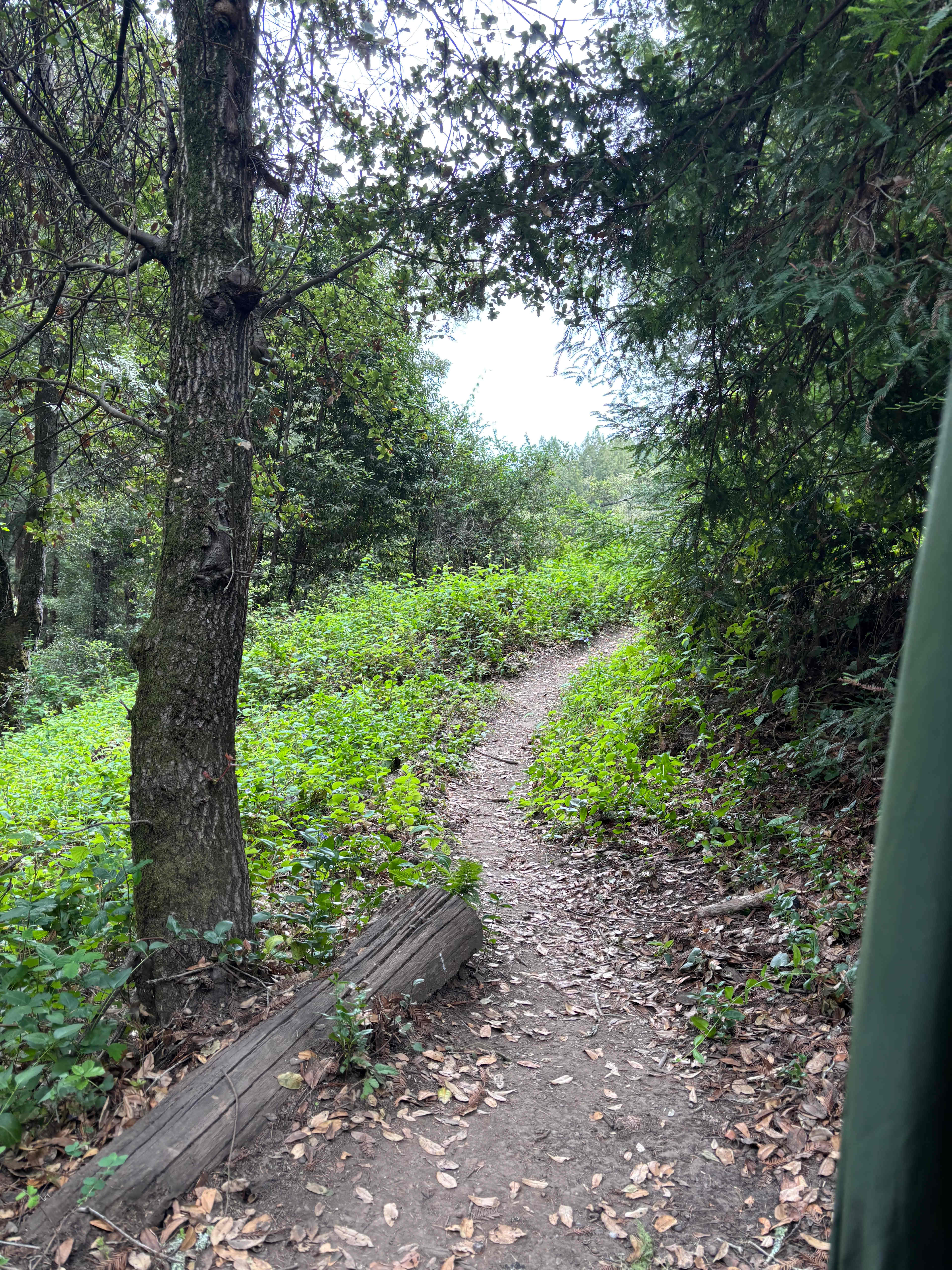 The path from the outhouse to the campsite