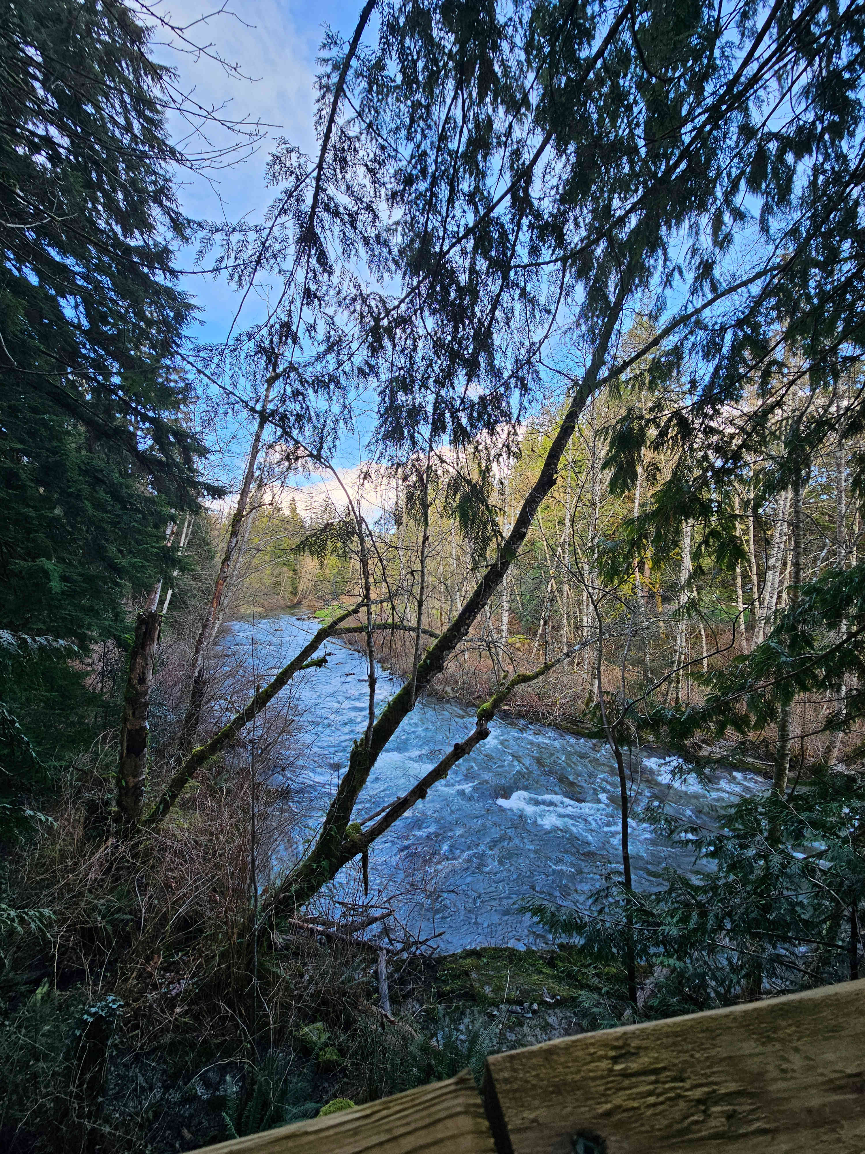 Escape to Golden Ears Glamping