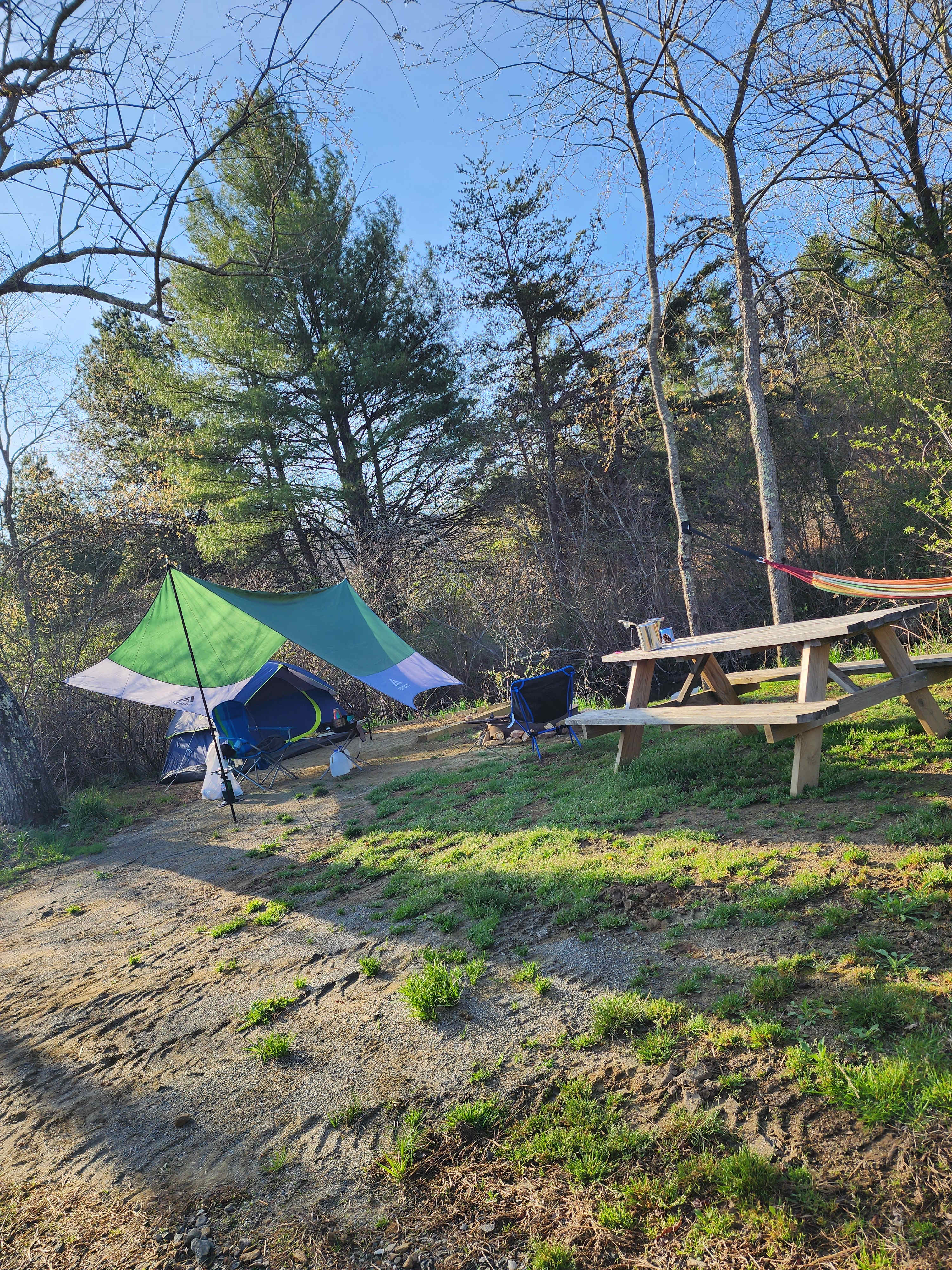 My site after set-up. The hammock is provided by the owners!