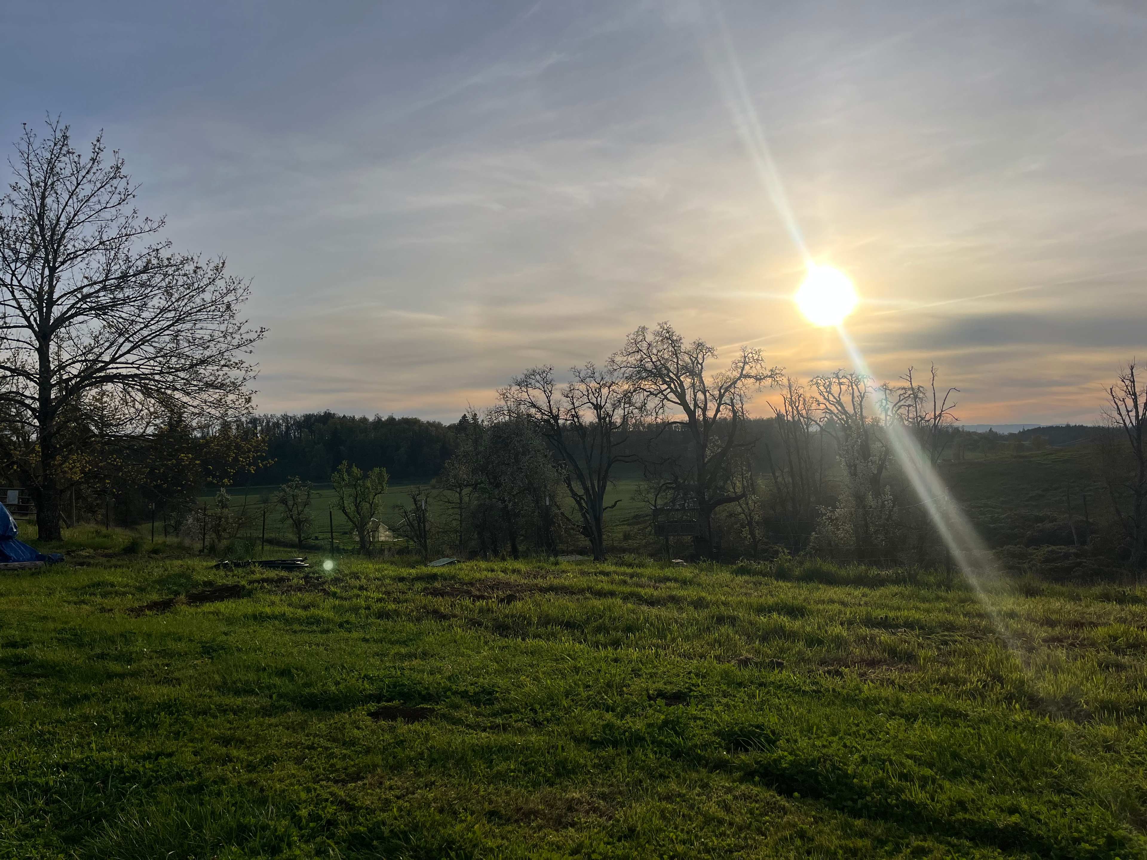 Sunset in the making 