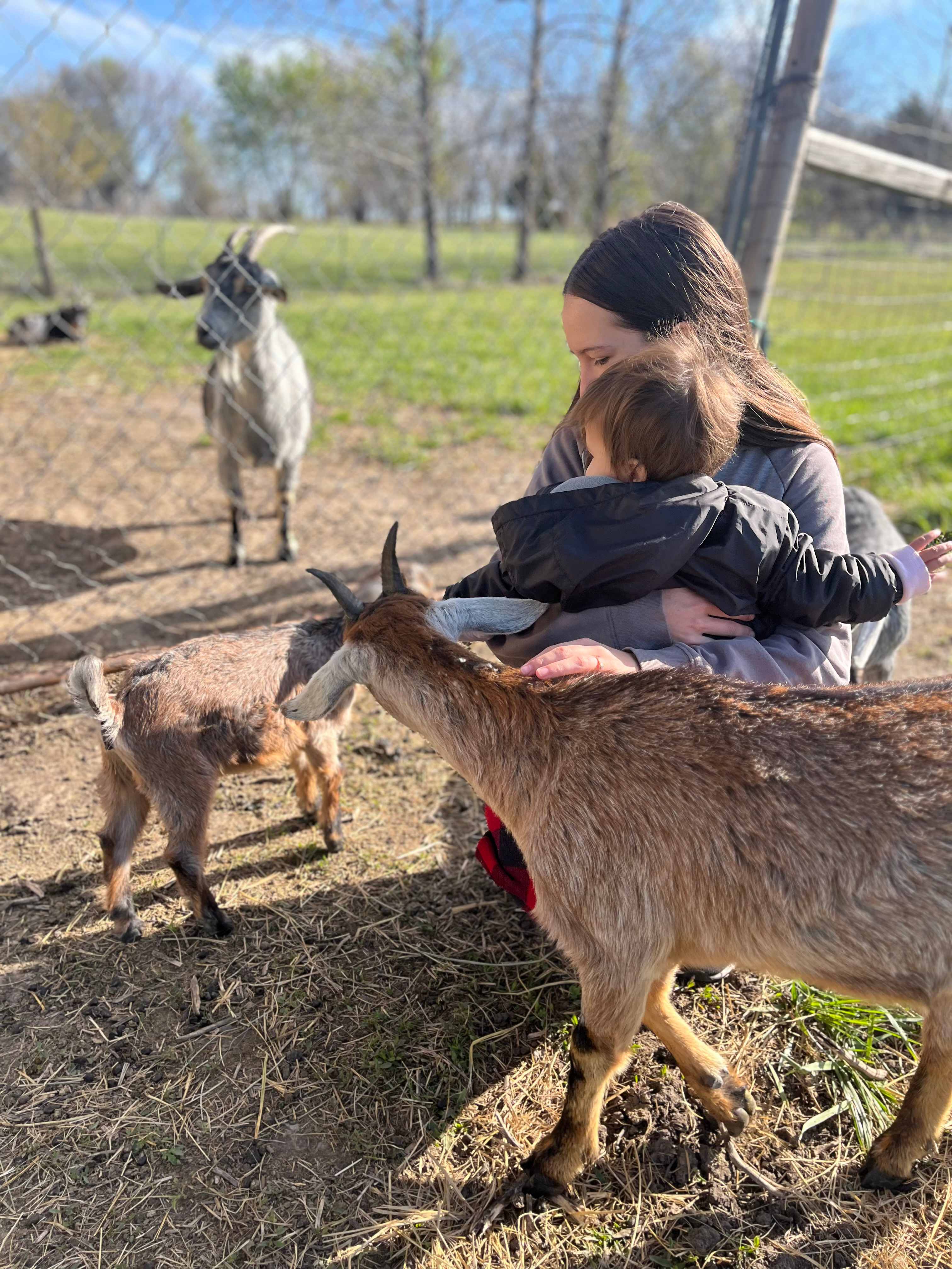 Old Goat Farm 