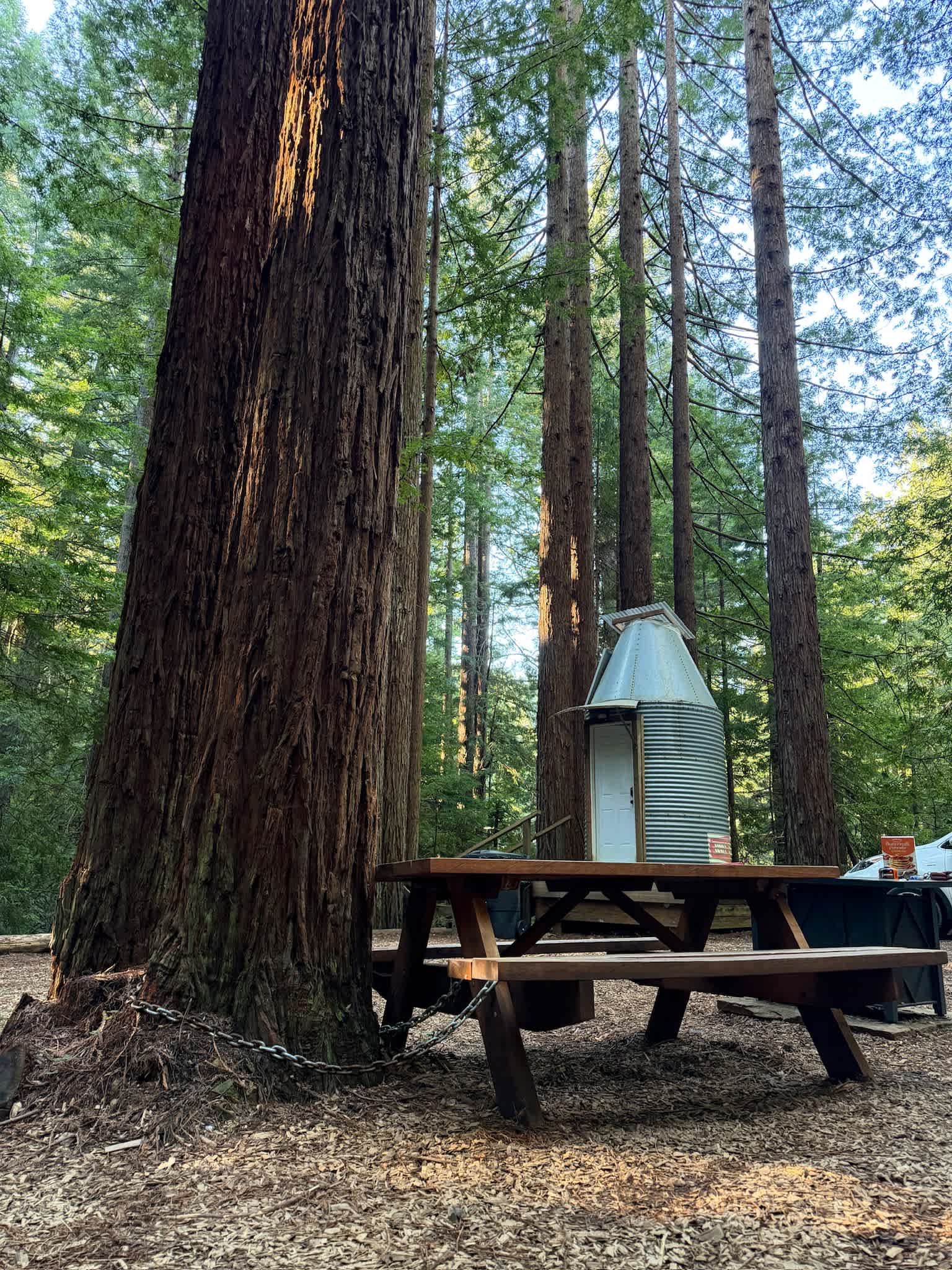 Whispering Redwood Creek