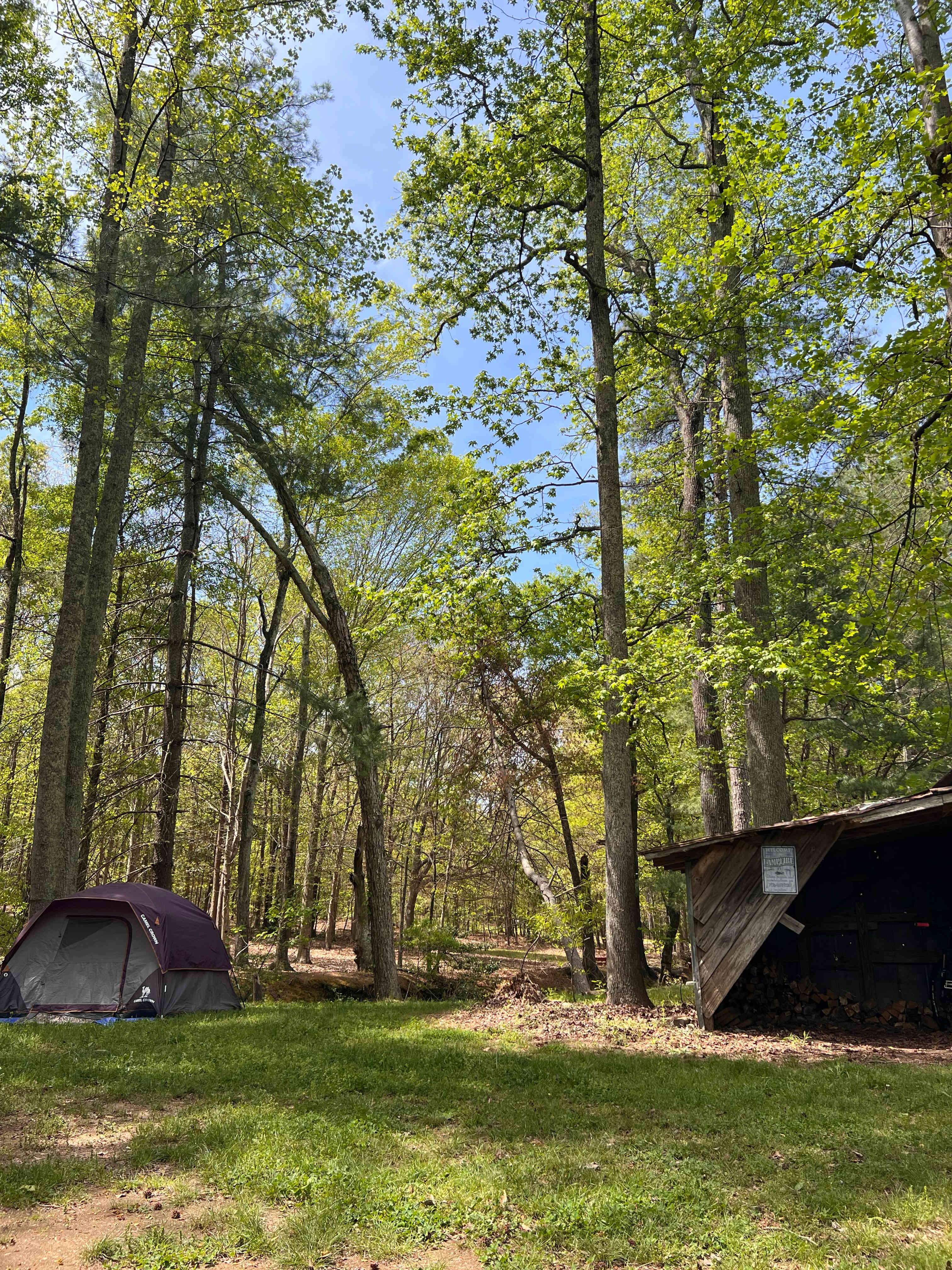 Neal Creek Camping Sites