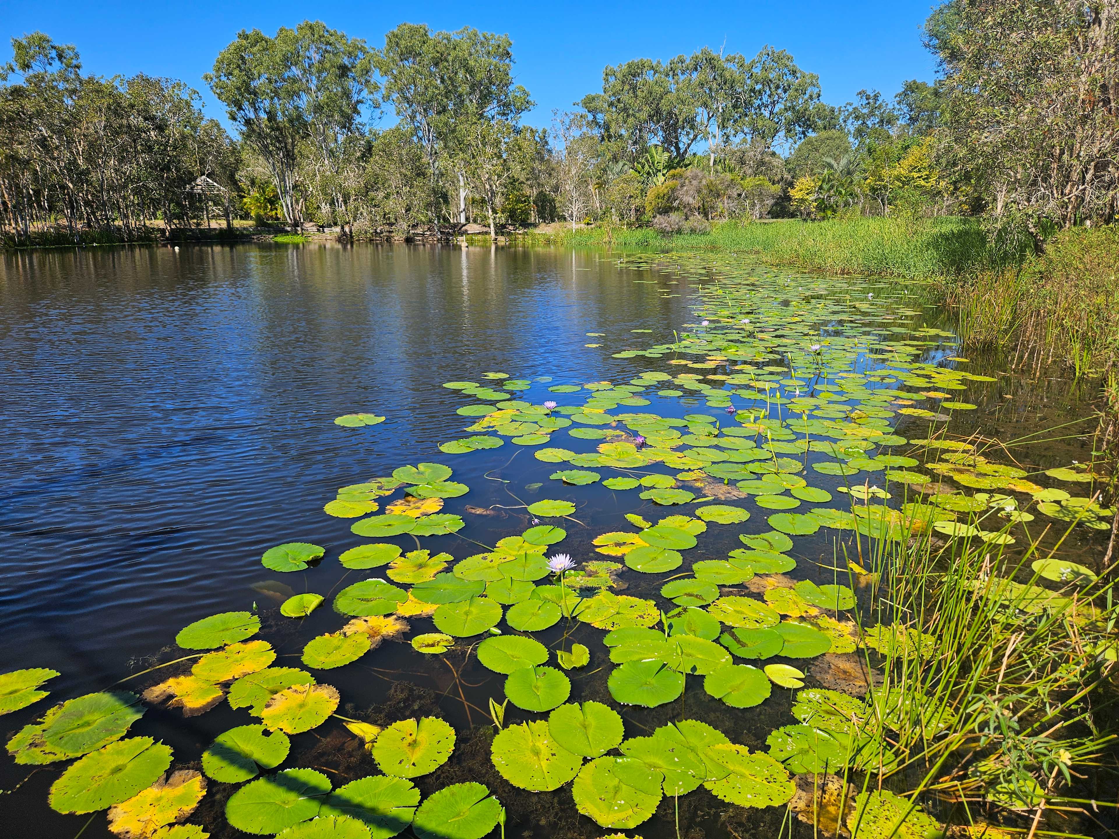 Southern Cross travellers Retreat
