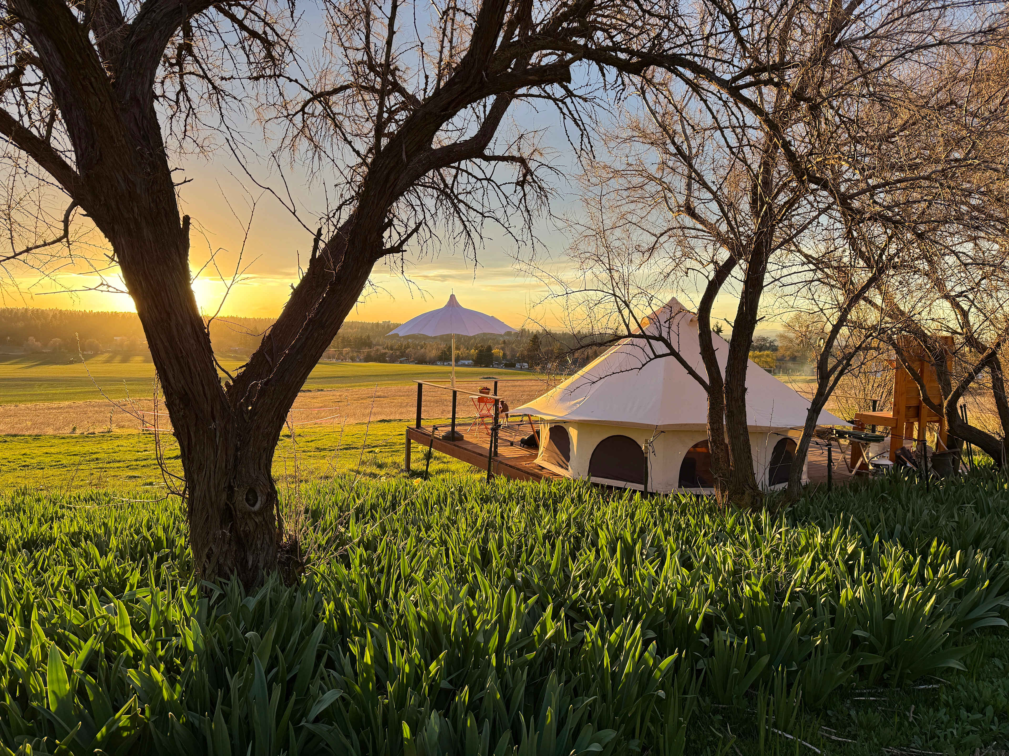 Glenrose Flower & Forage Farm