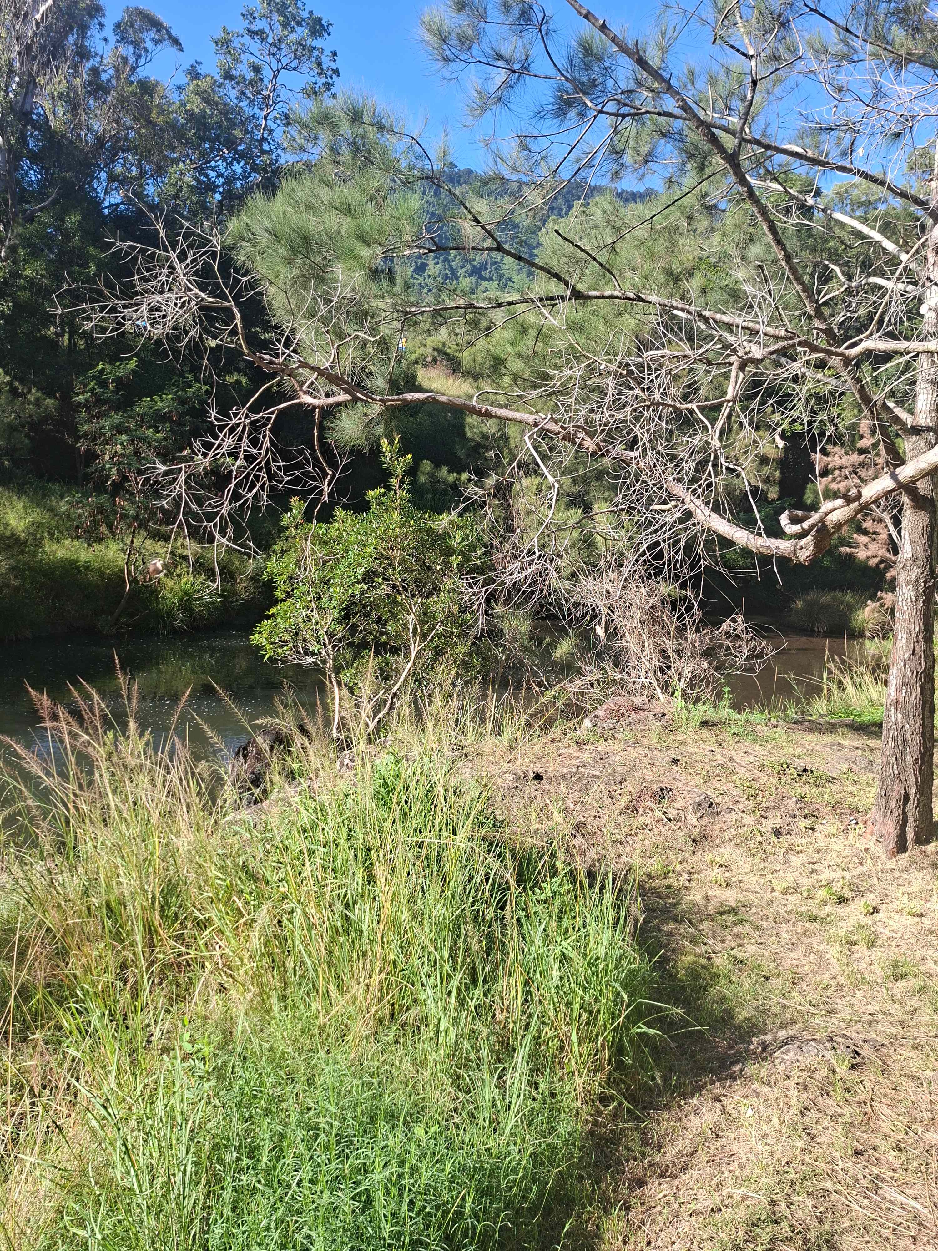 Andrew Drynan Park-Camp with a view
