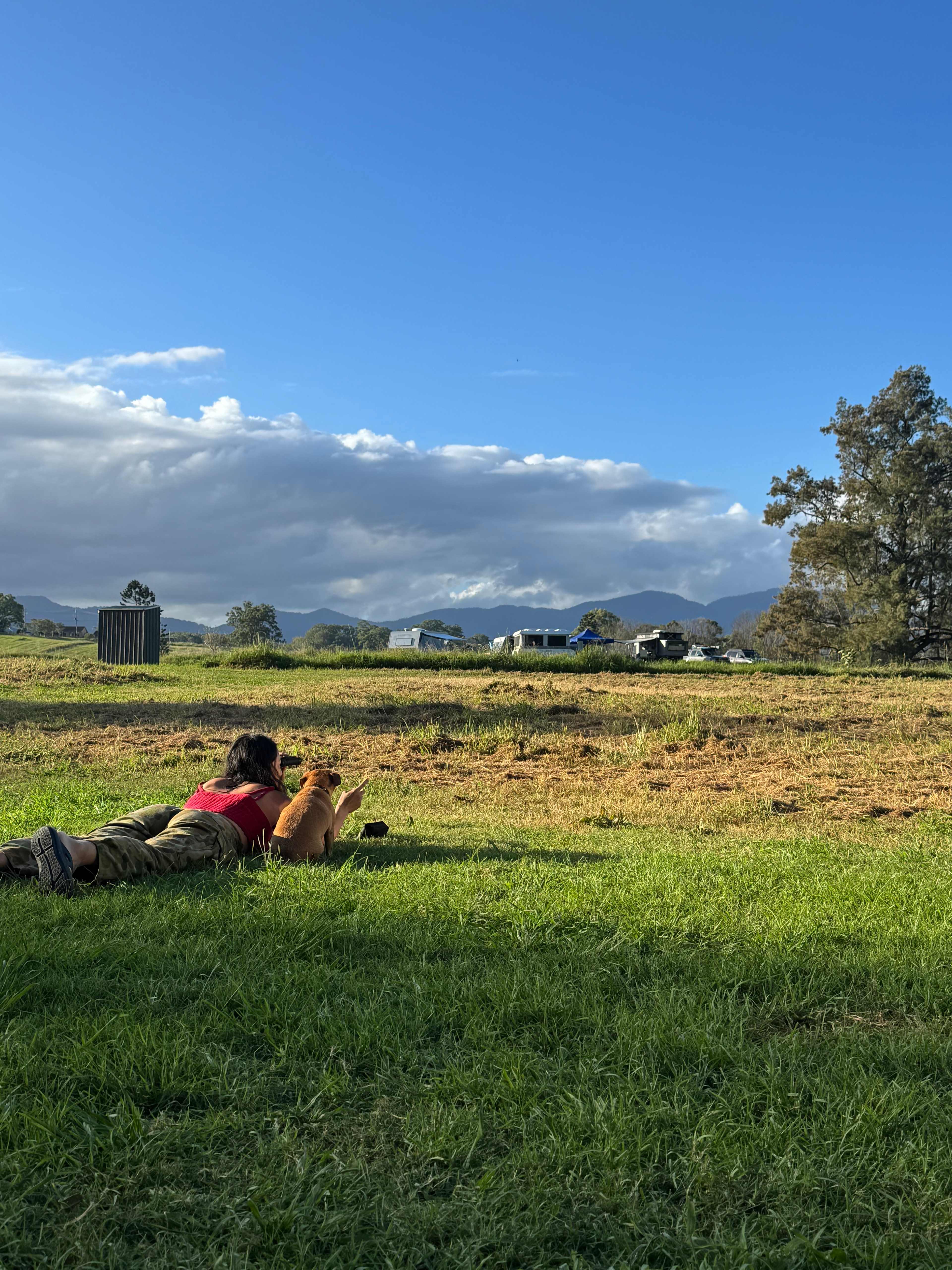 Bellinger River Camping