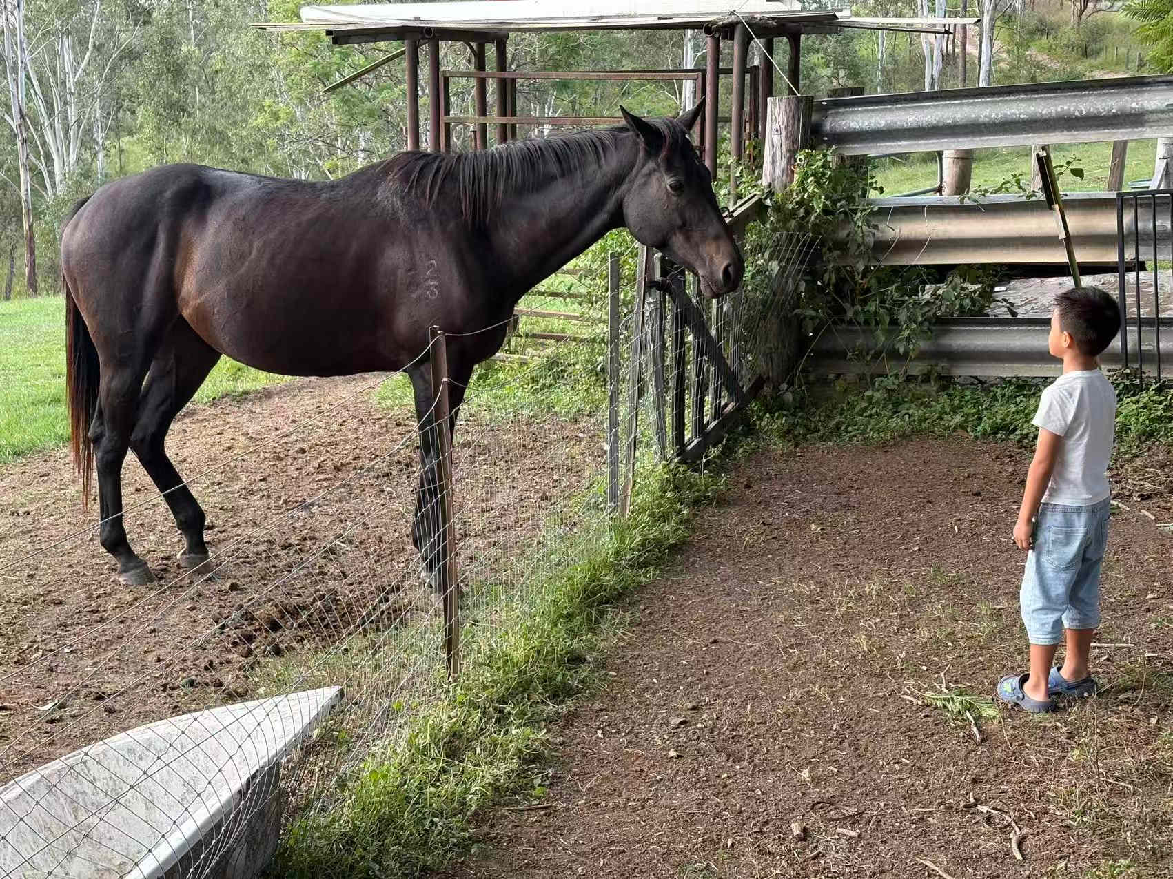 The Ranch on Clarence