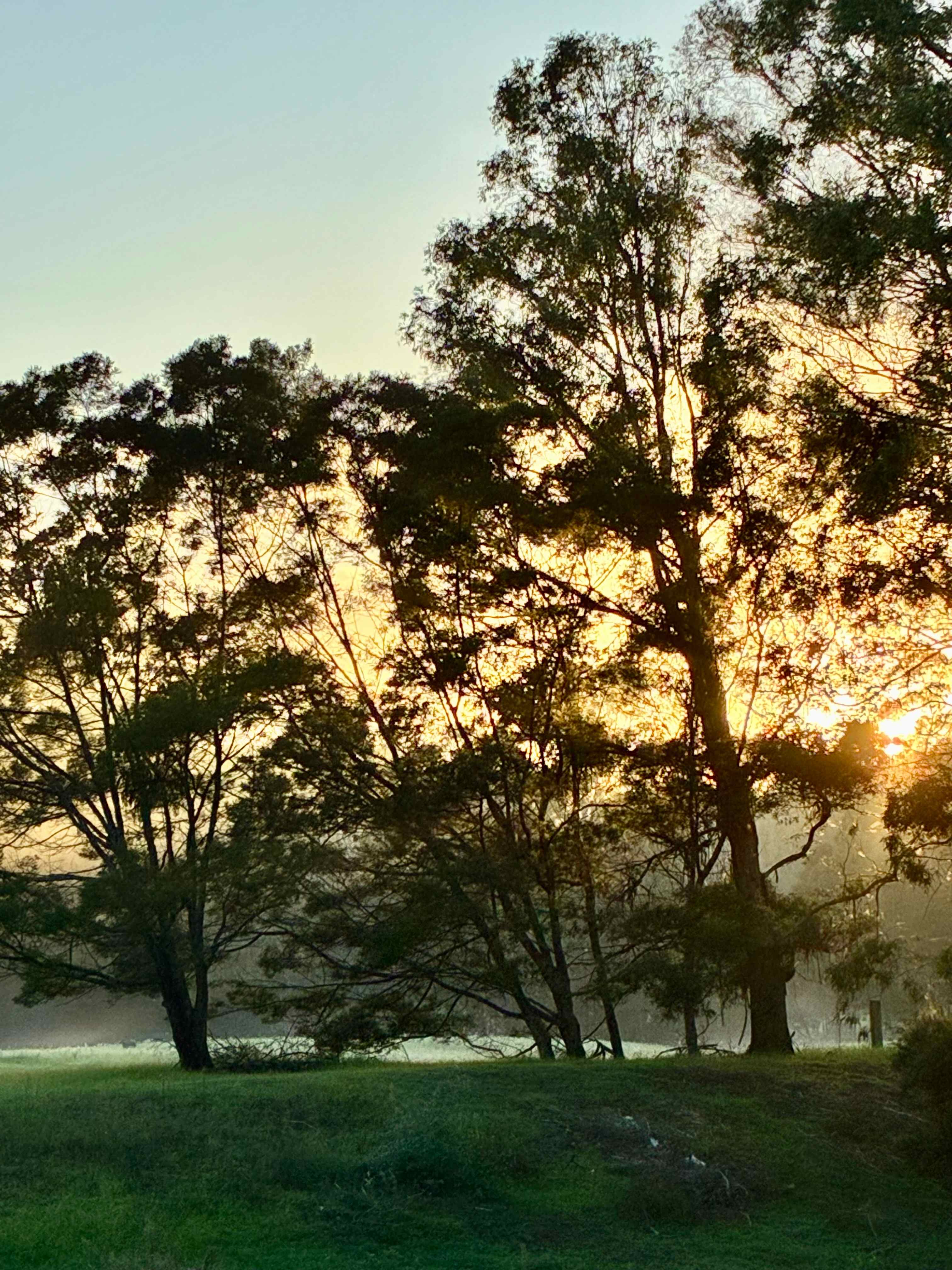 Sunrise across the creek