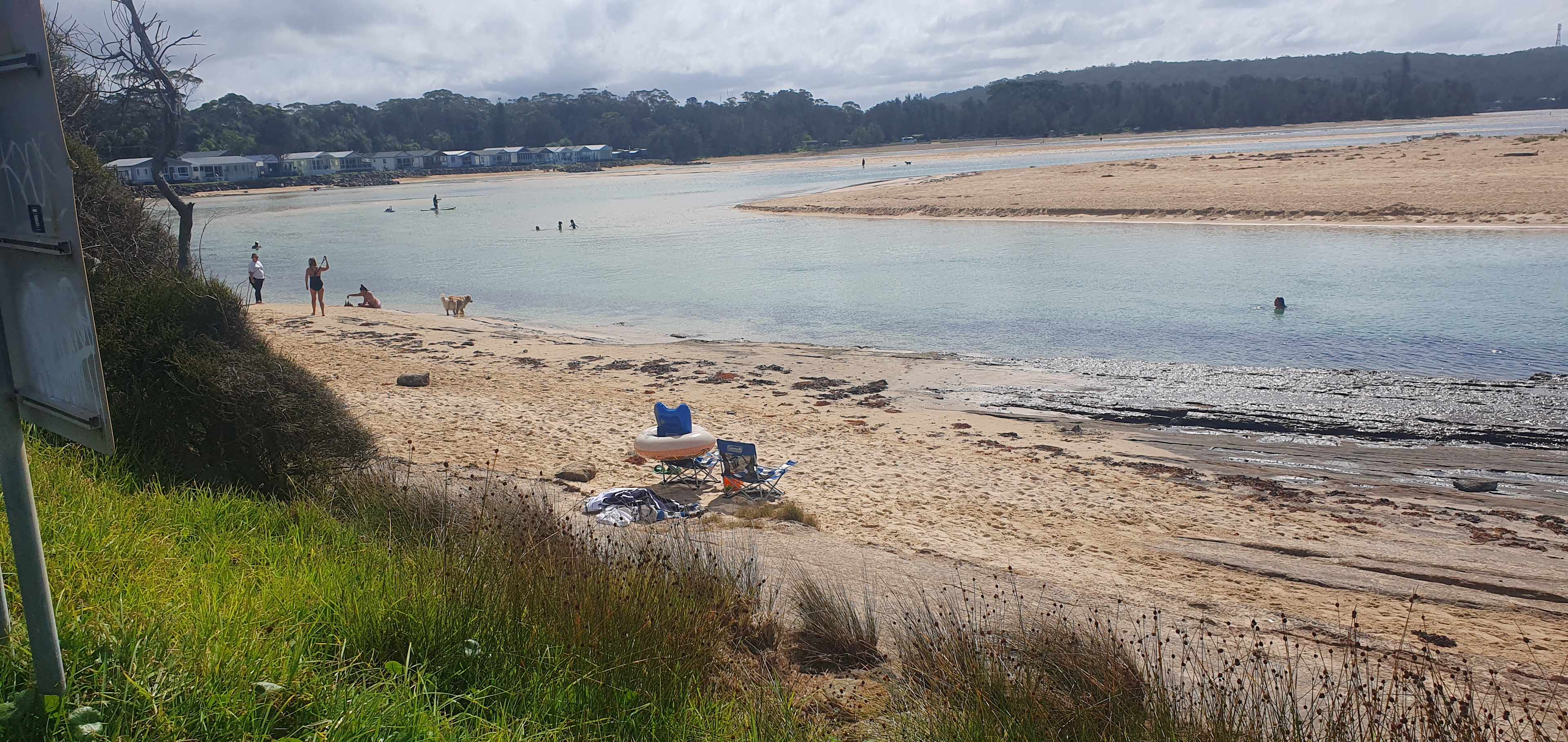 dolphin Beach 