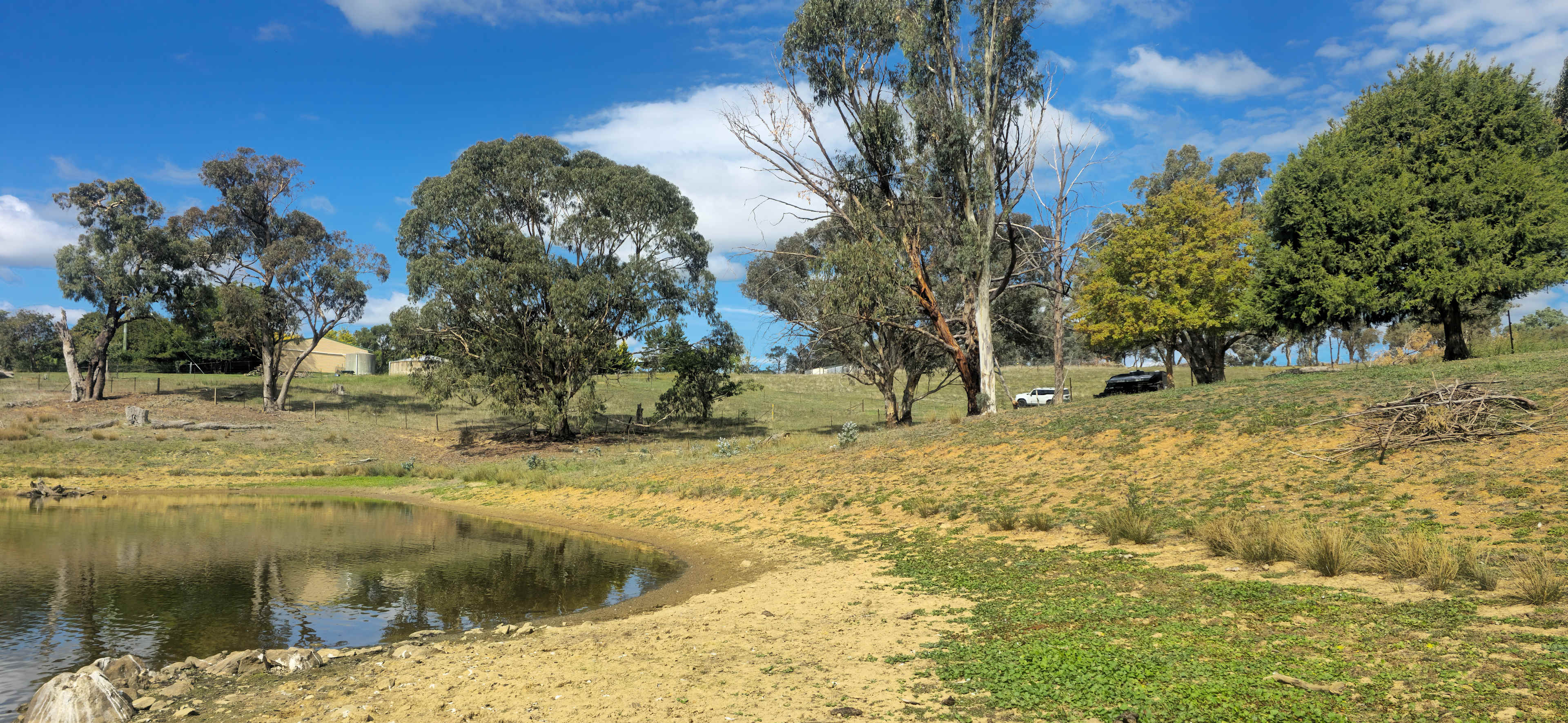Lyndon Hill