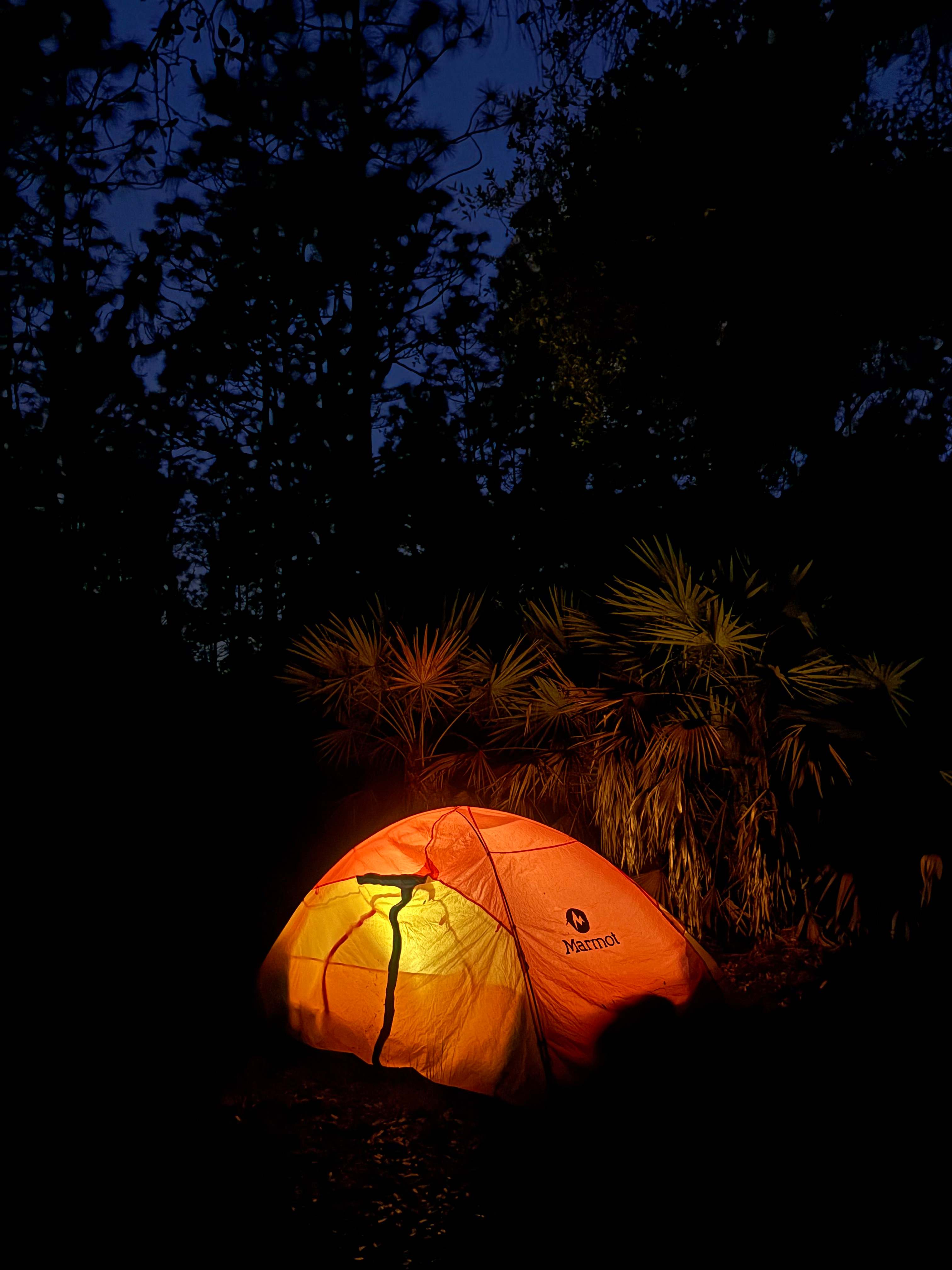 Enjoying the spot at night. 