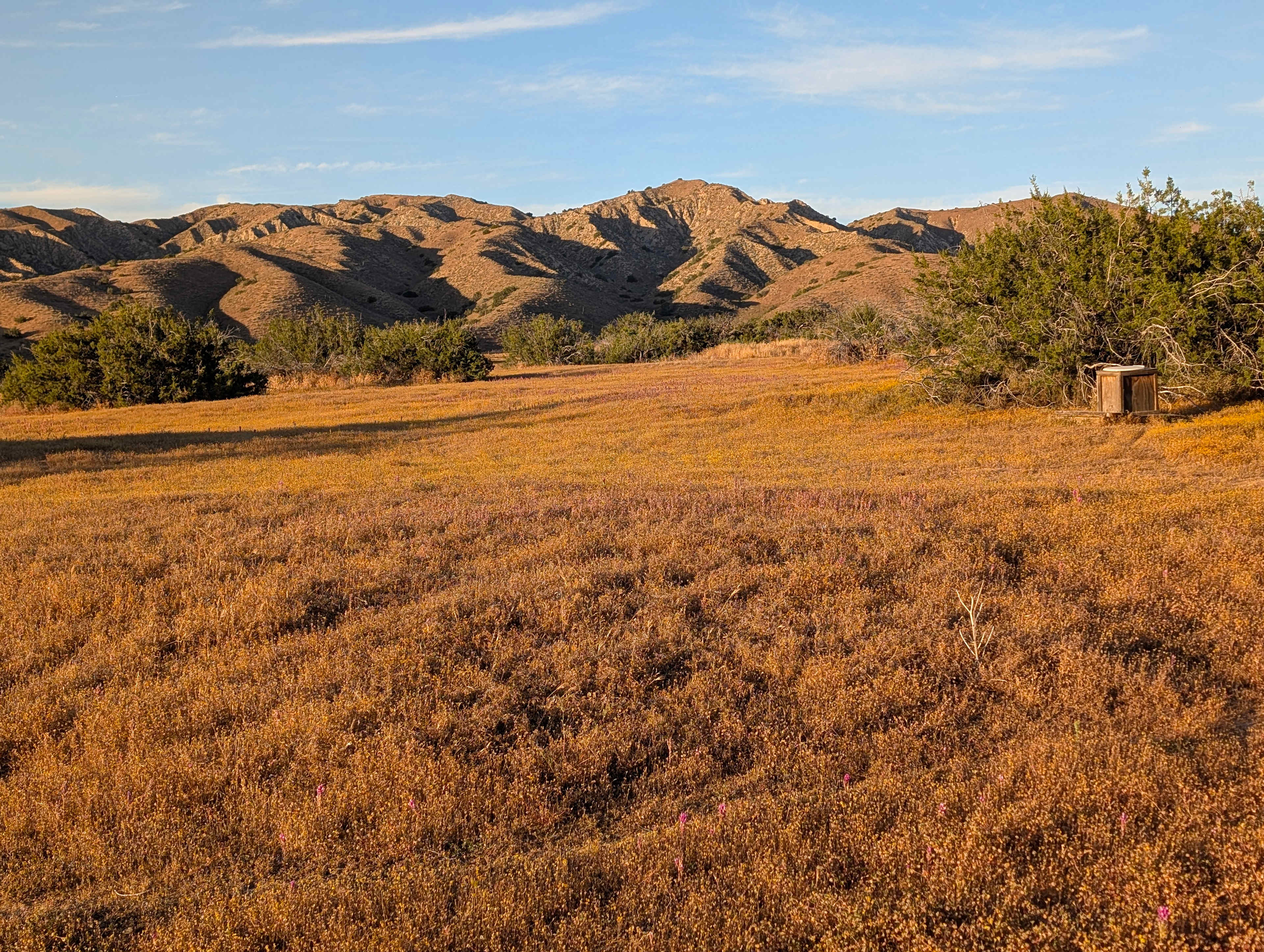 Cuyama Badlands