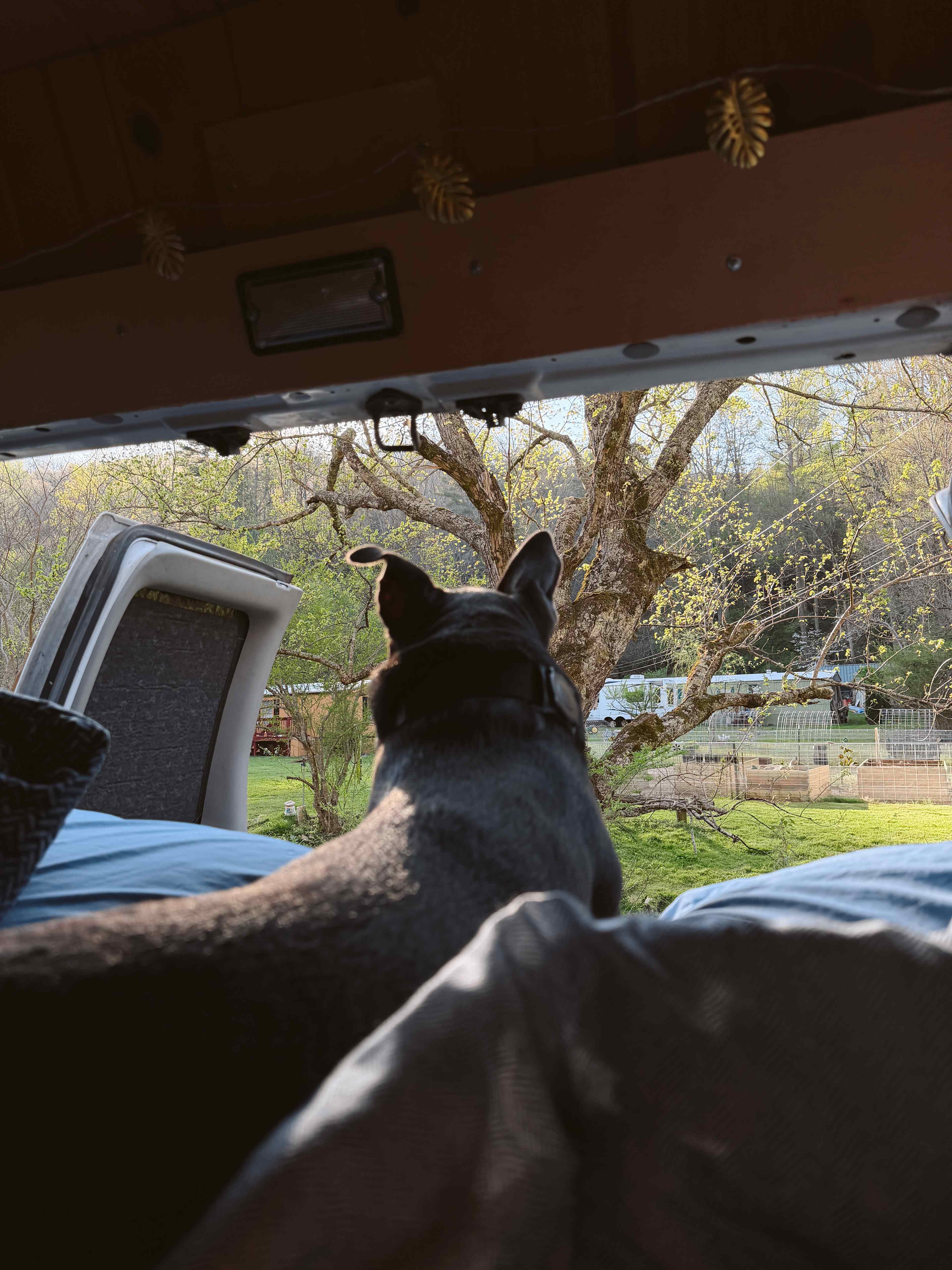 Conleys Creek Campground