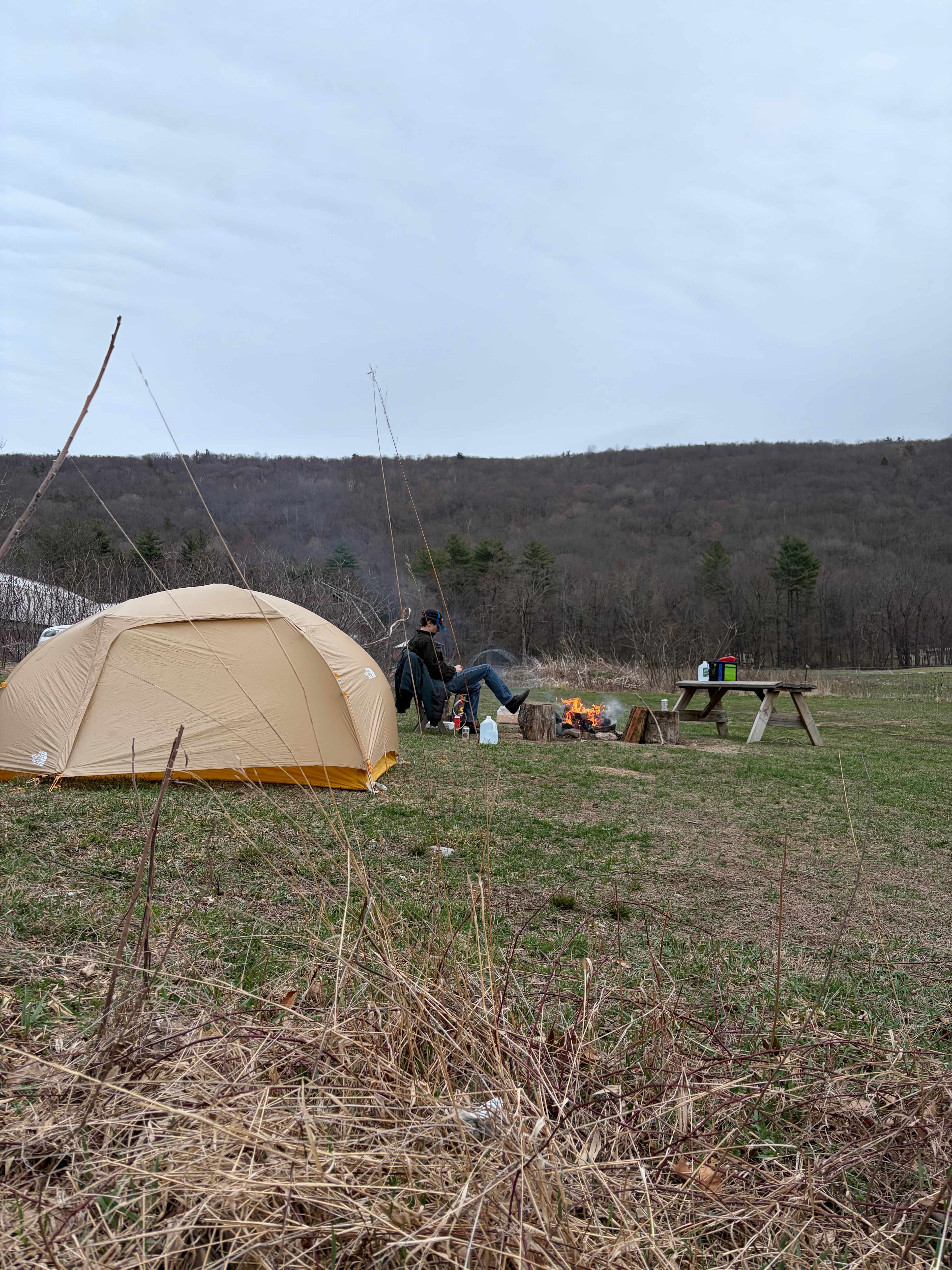 Turtle Bend Farm