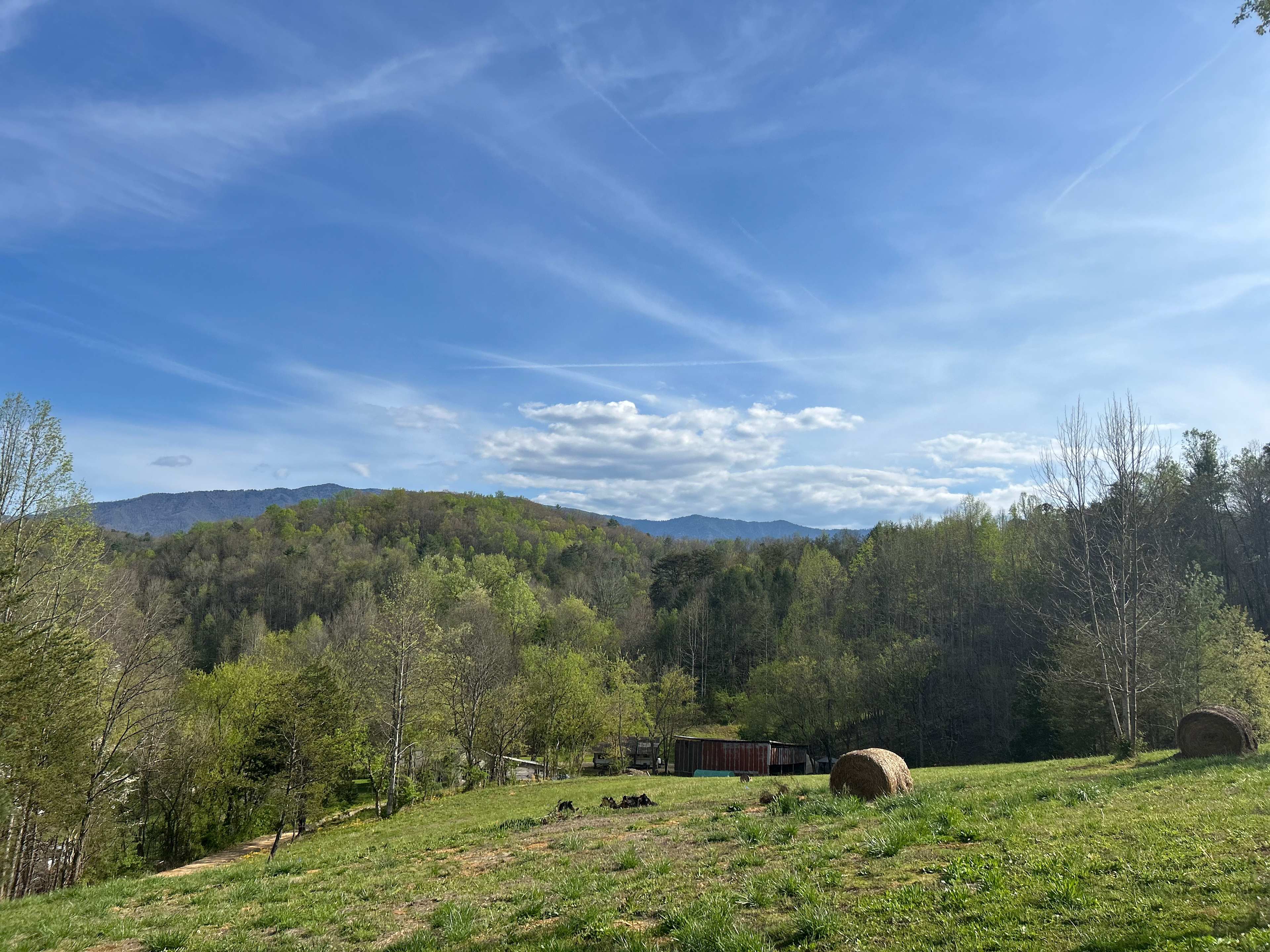 The view from hilltop #5