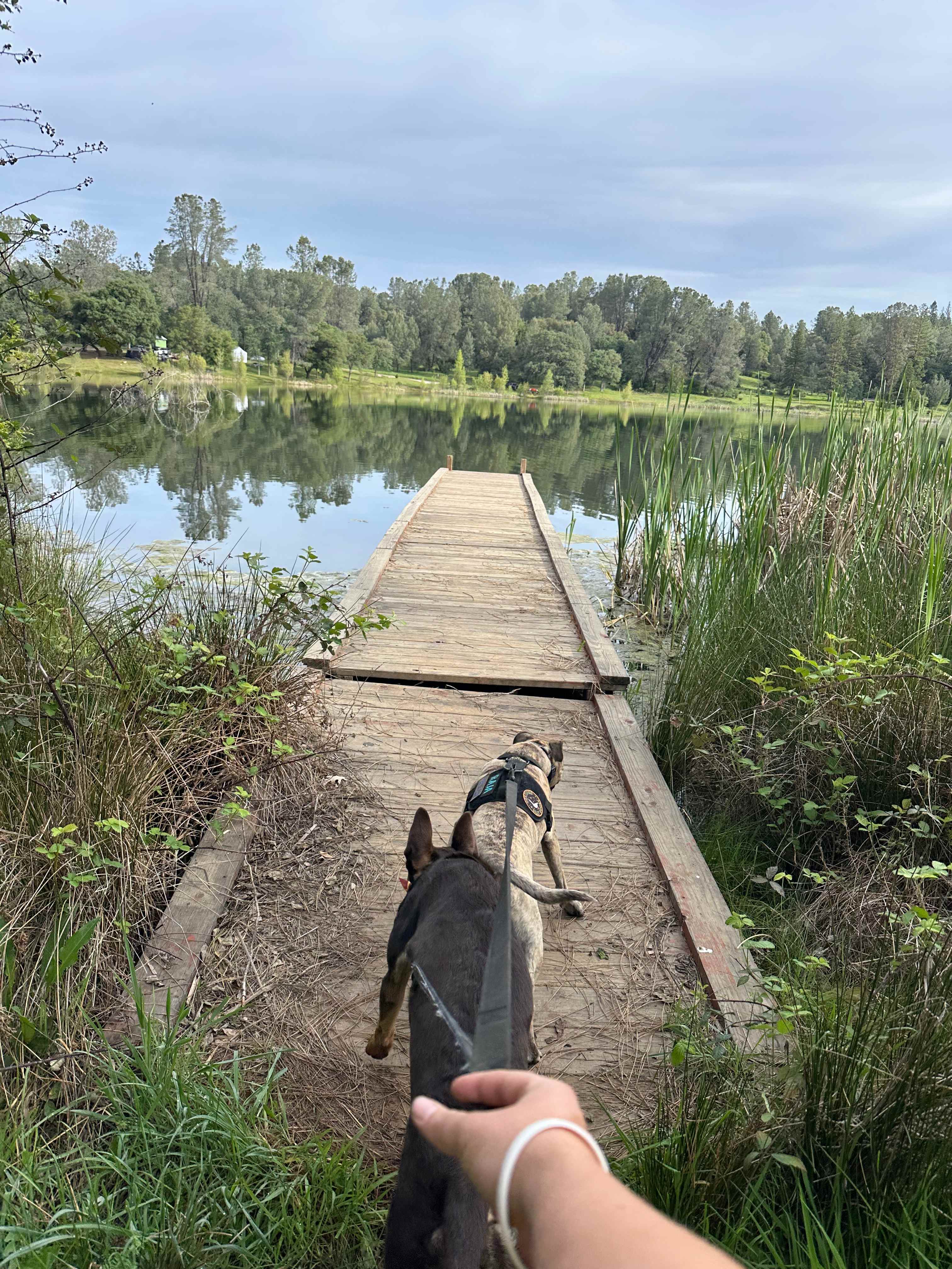 On the trail around the reservoir 