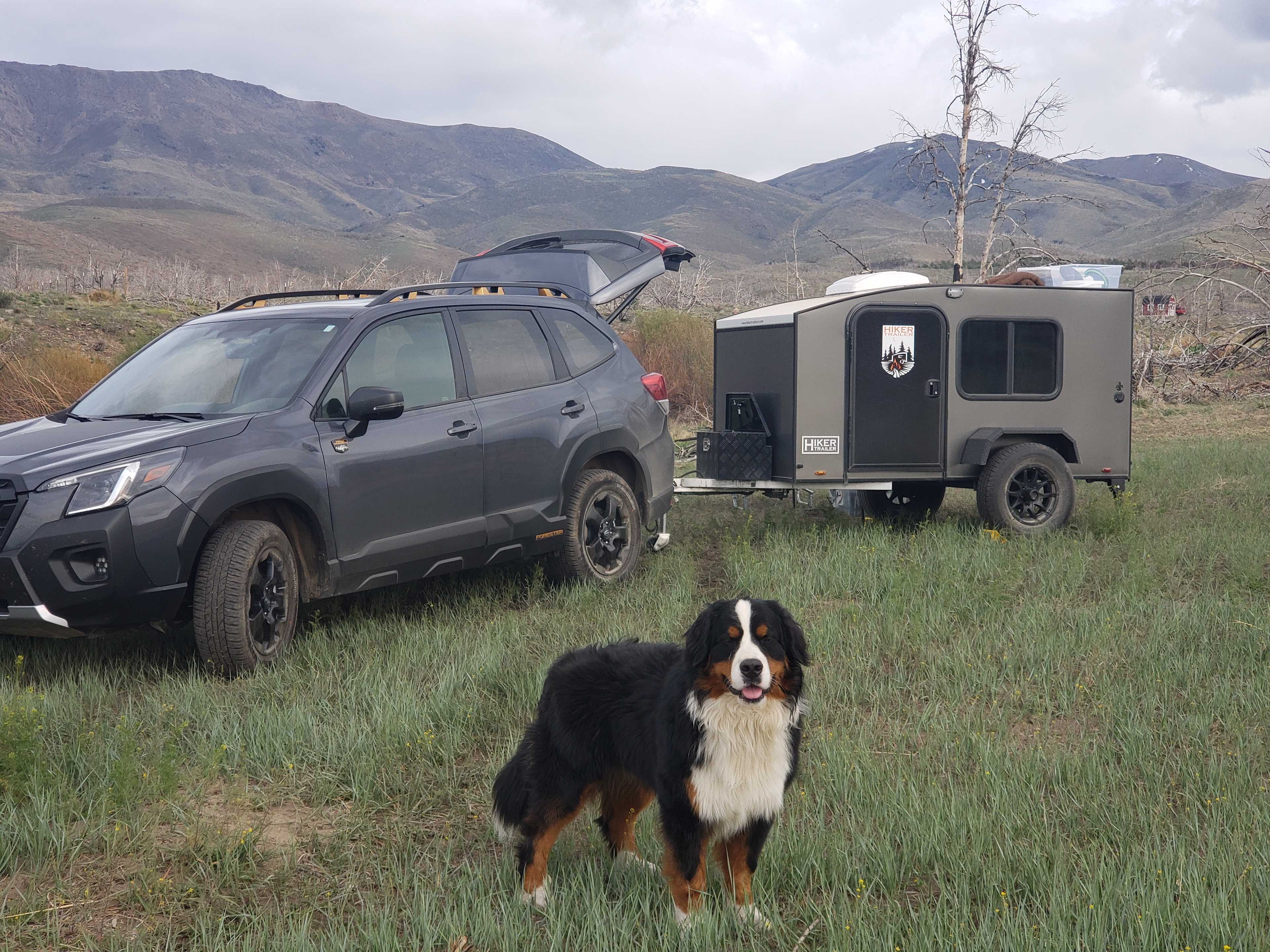 Pine Nut Creek Ranch and Resort