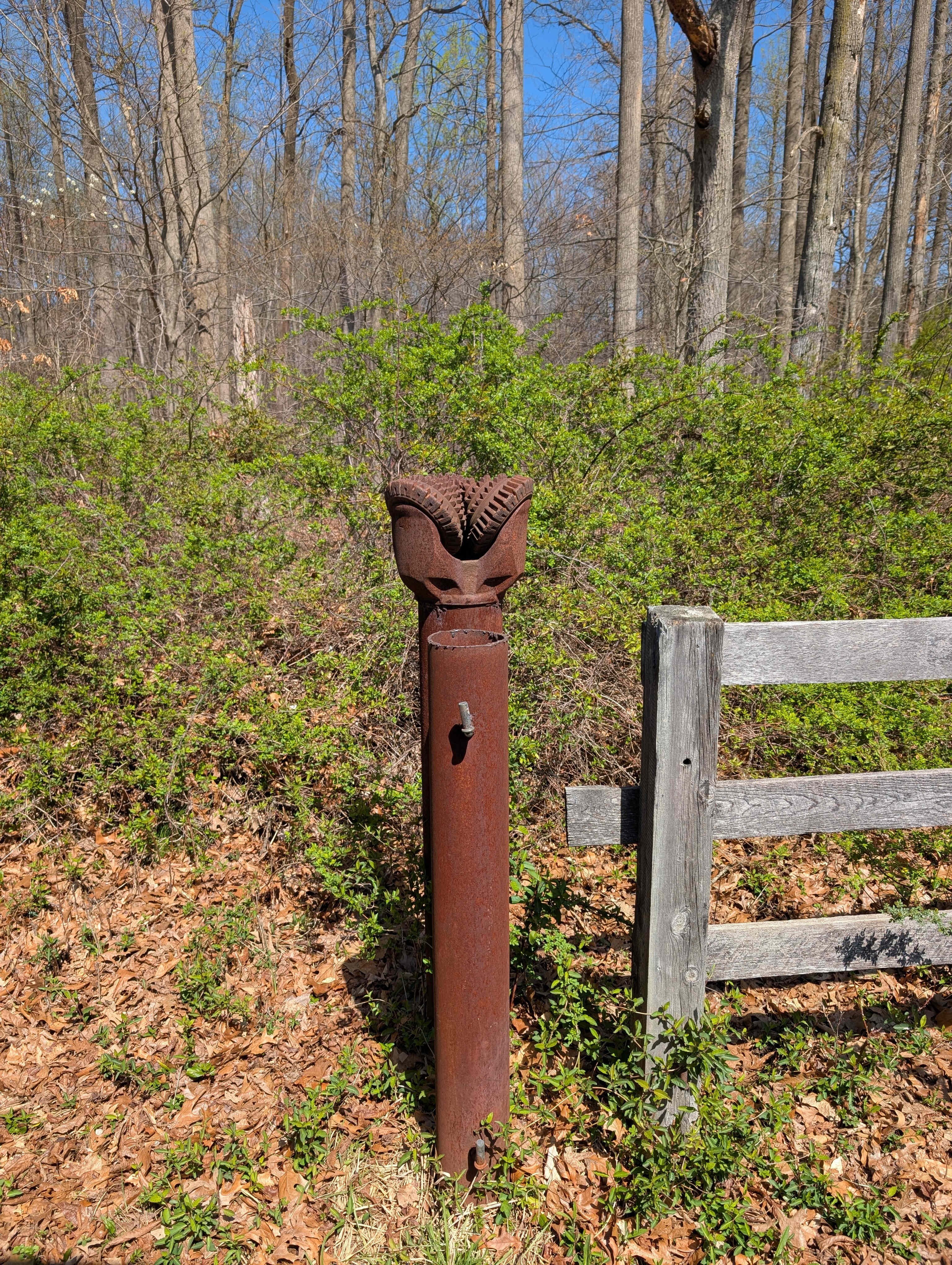 Bellview Farm