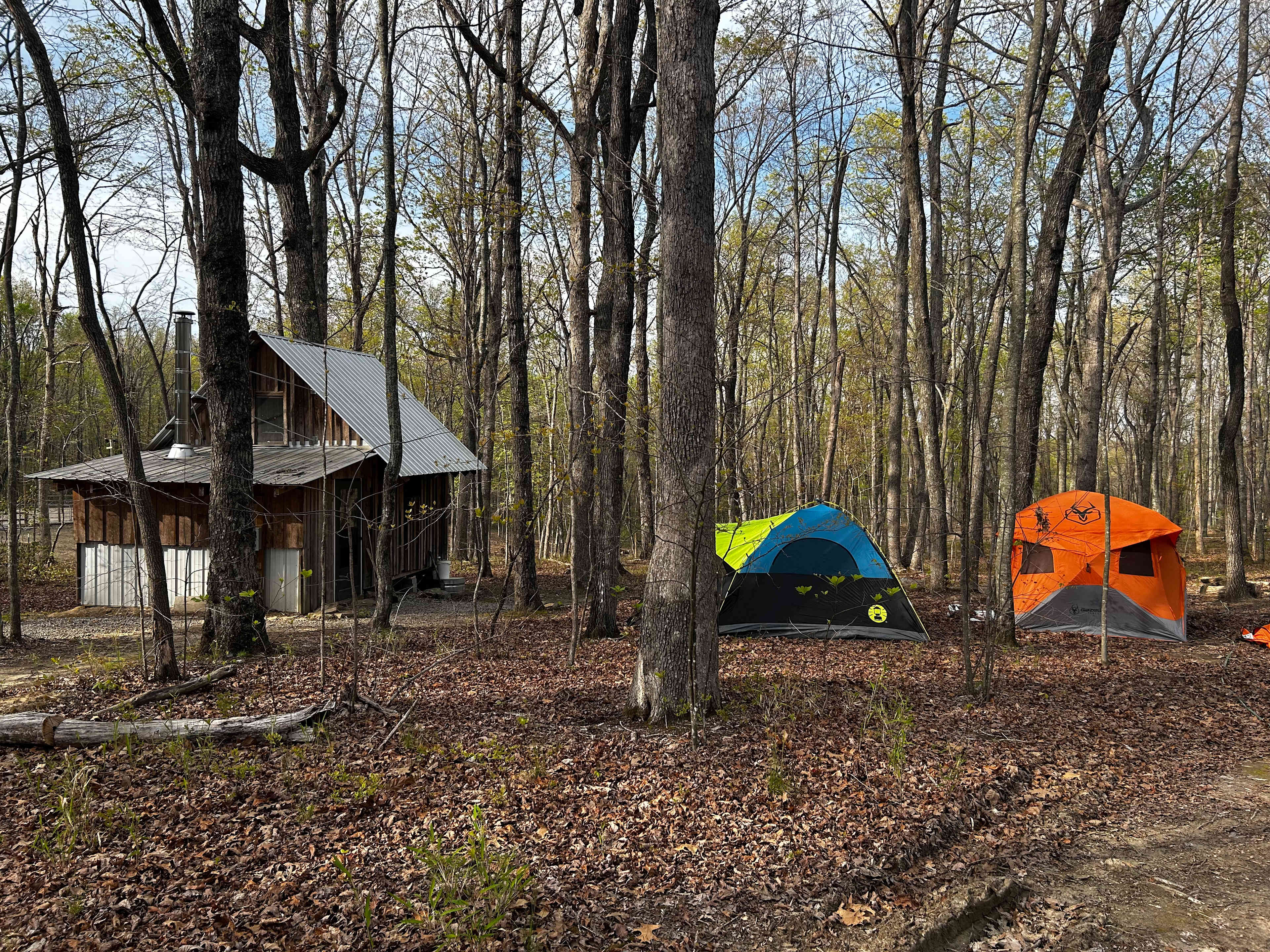 Cabin and Barn on 20 Peaceful Acres