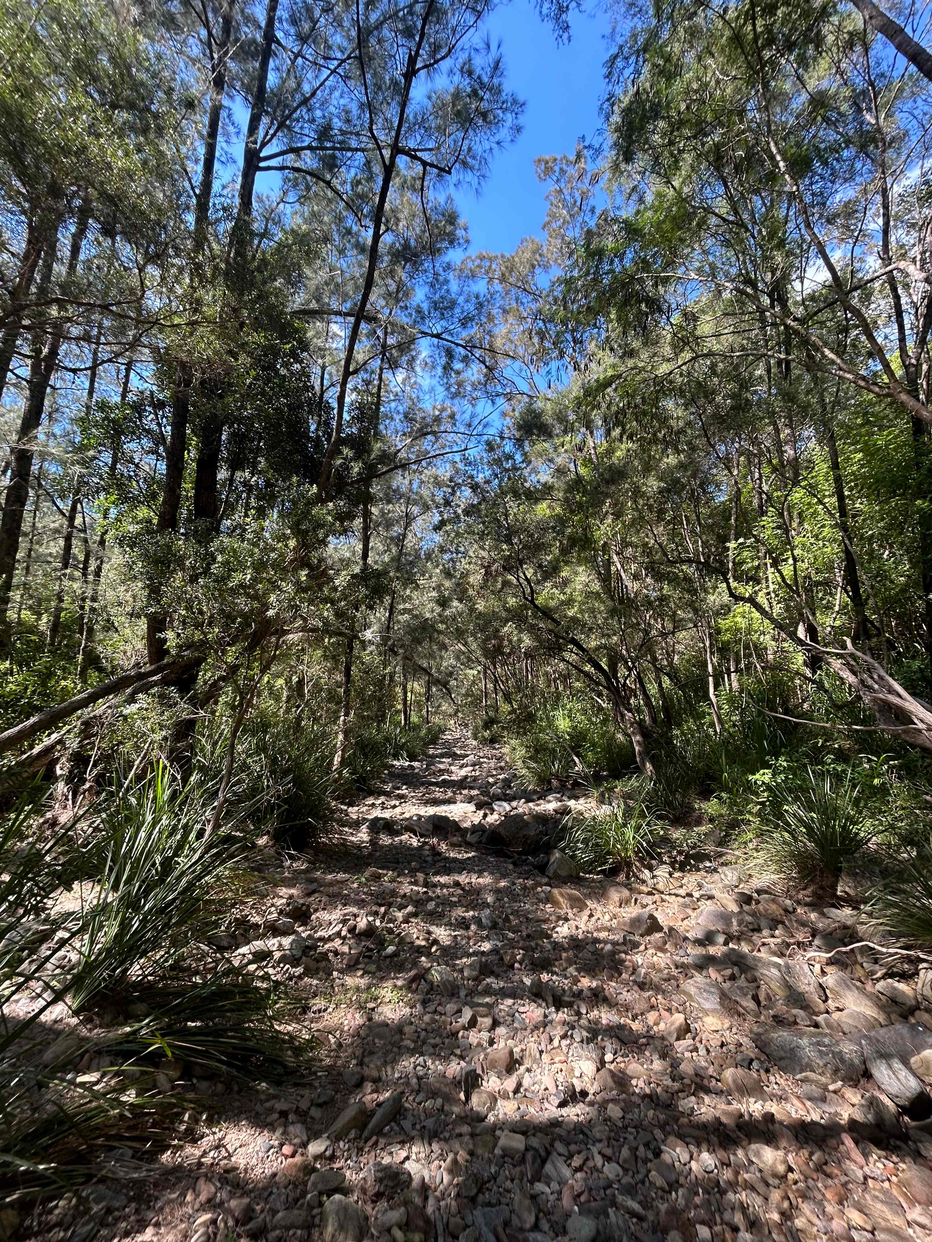 Creek walk