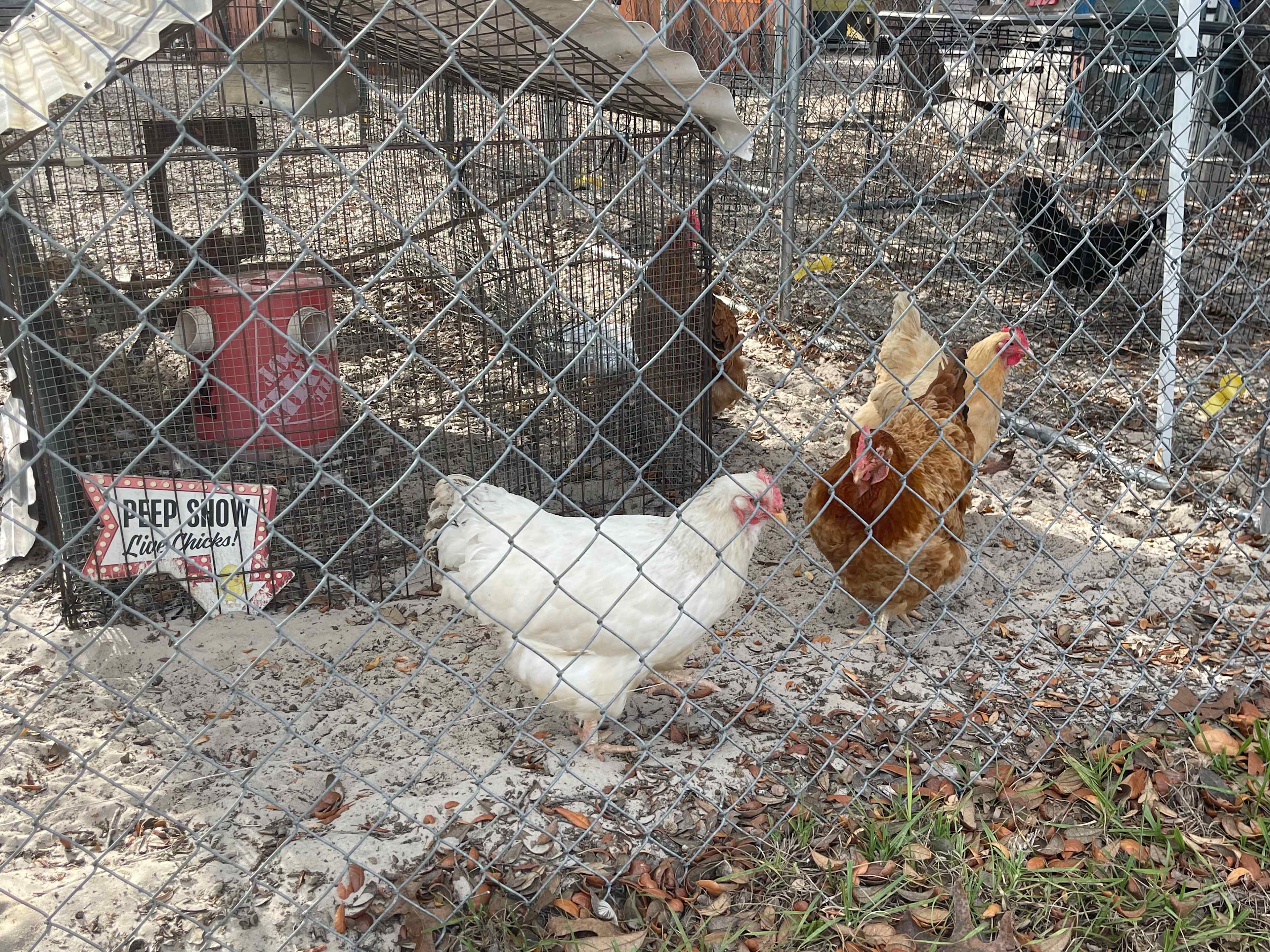 Happy Campers Rescue Ranch