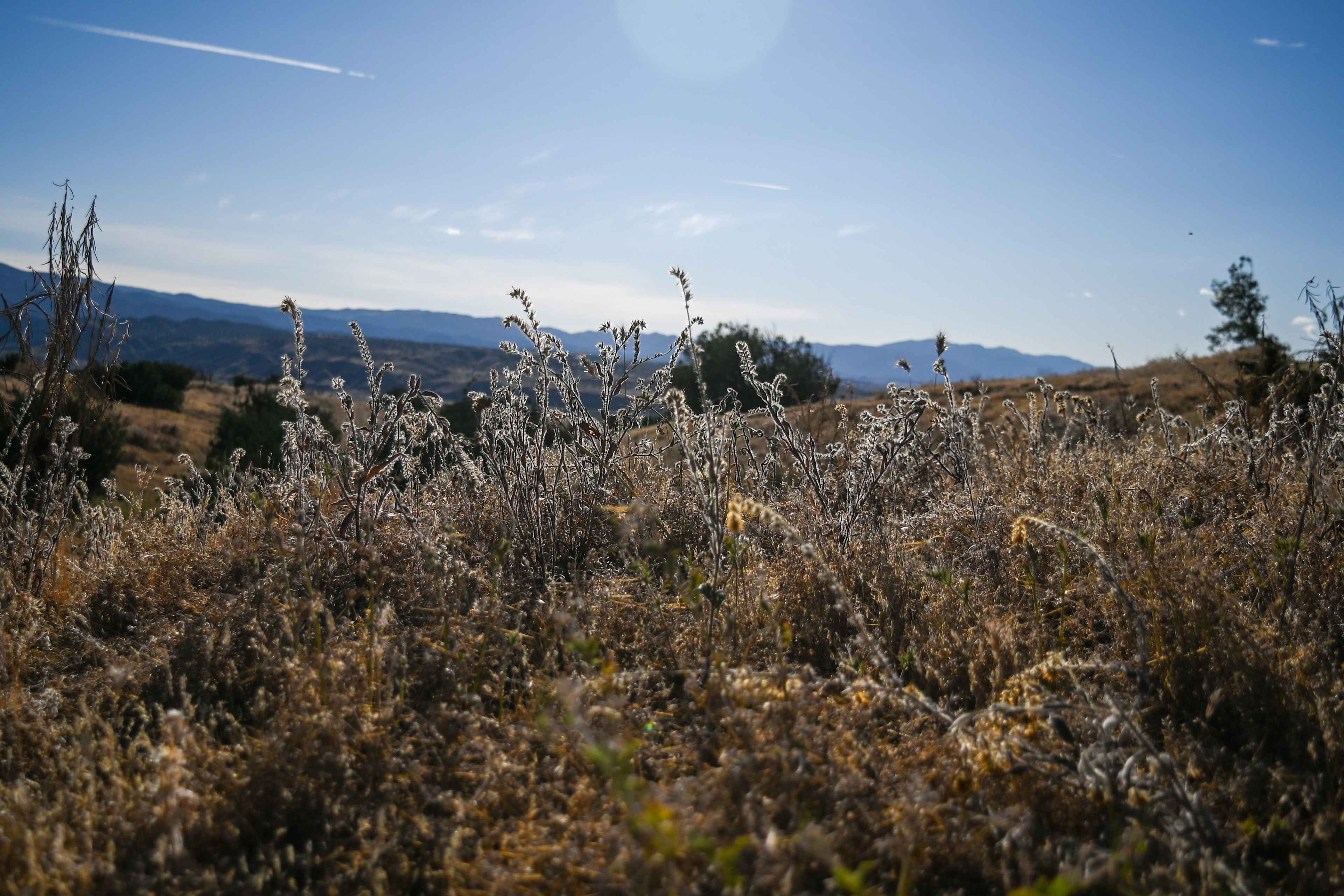 Cuyama Badlands