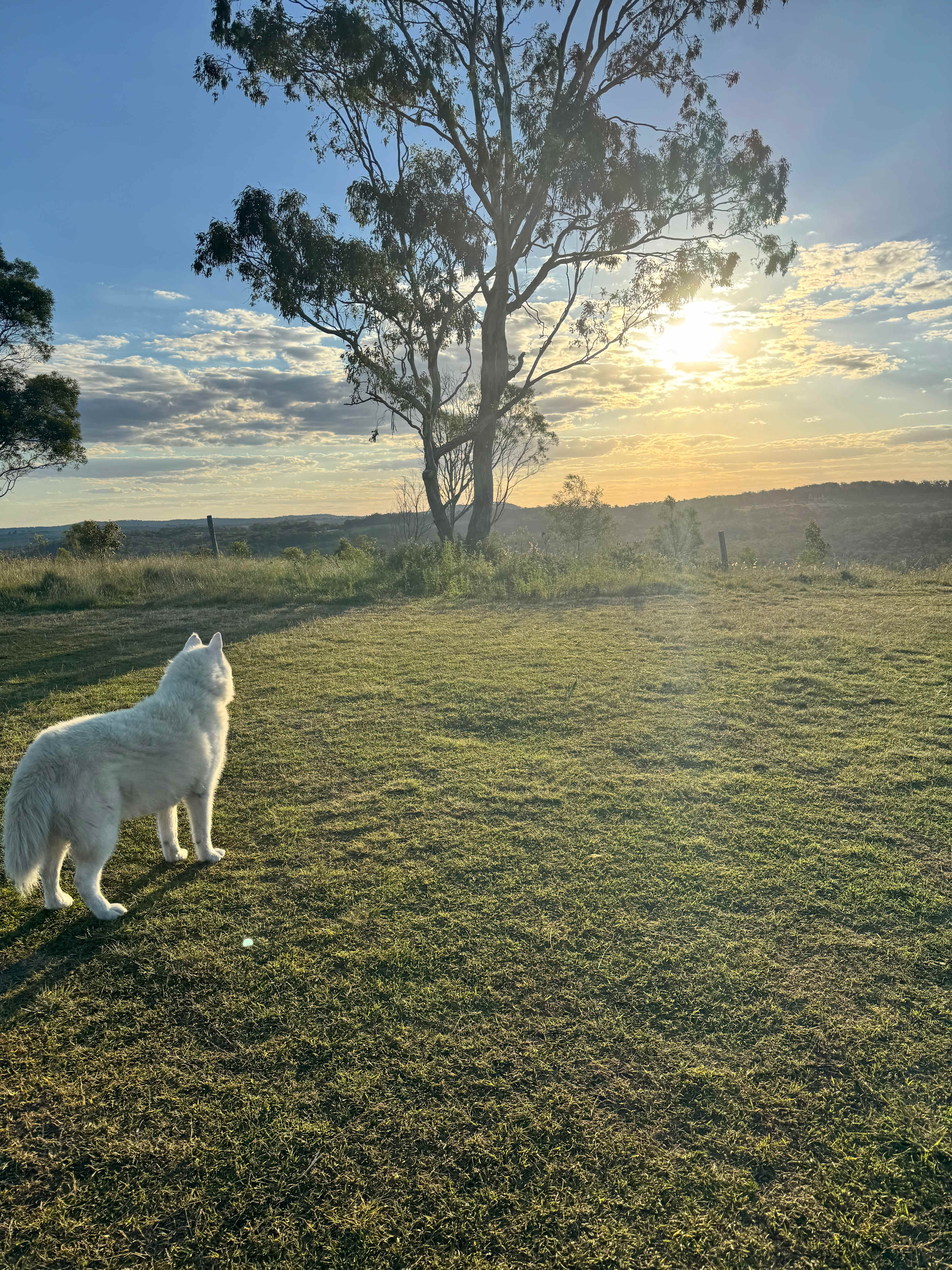 Hilltop Farm, Camping and Glamping.