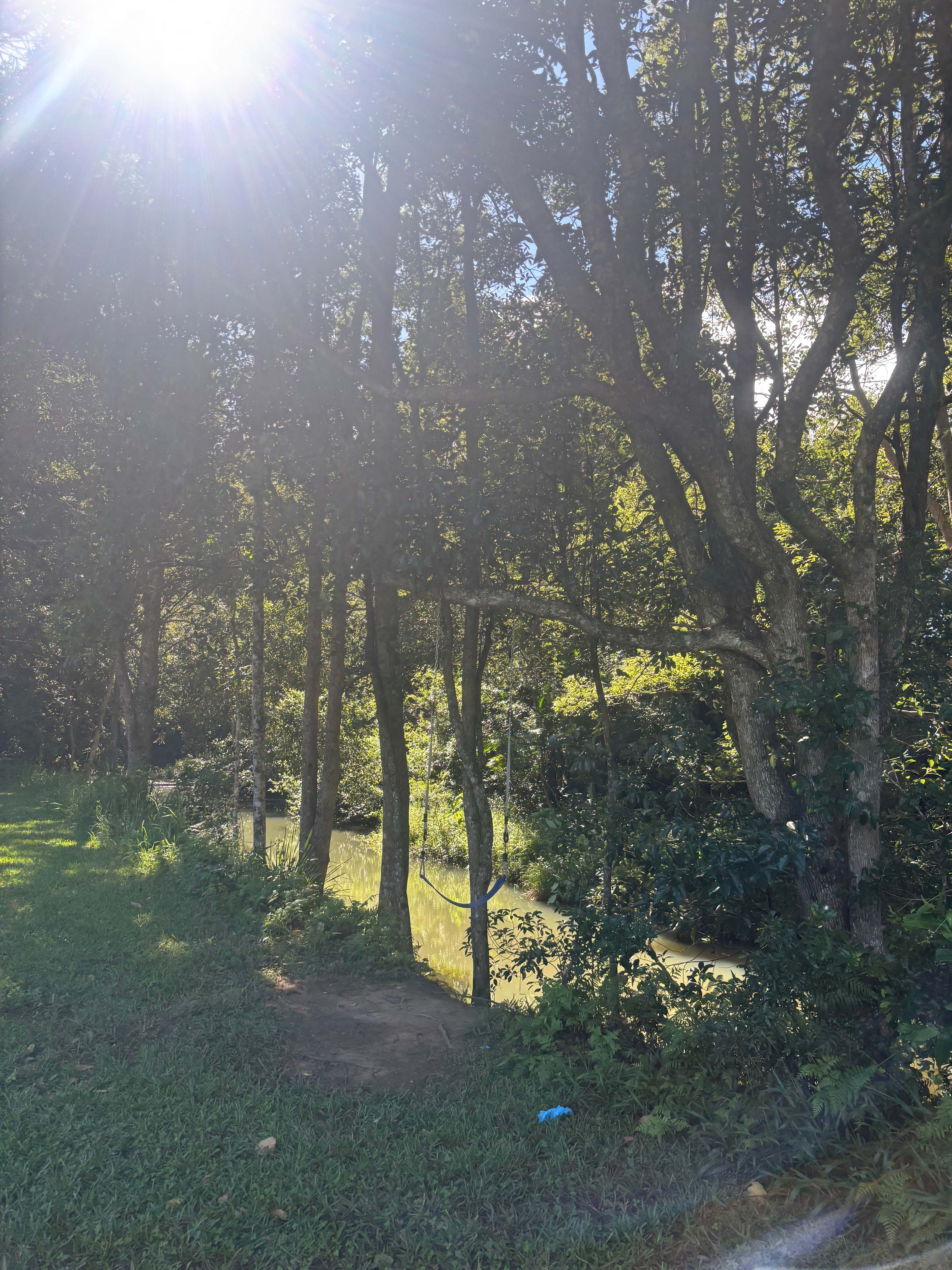 Rowlands Creek Camp Area