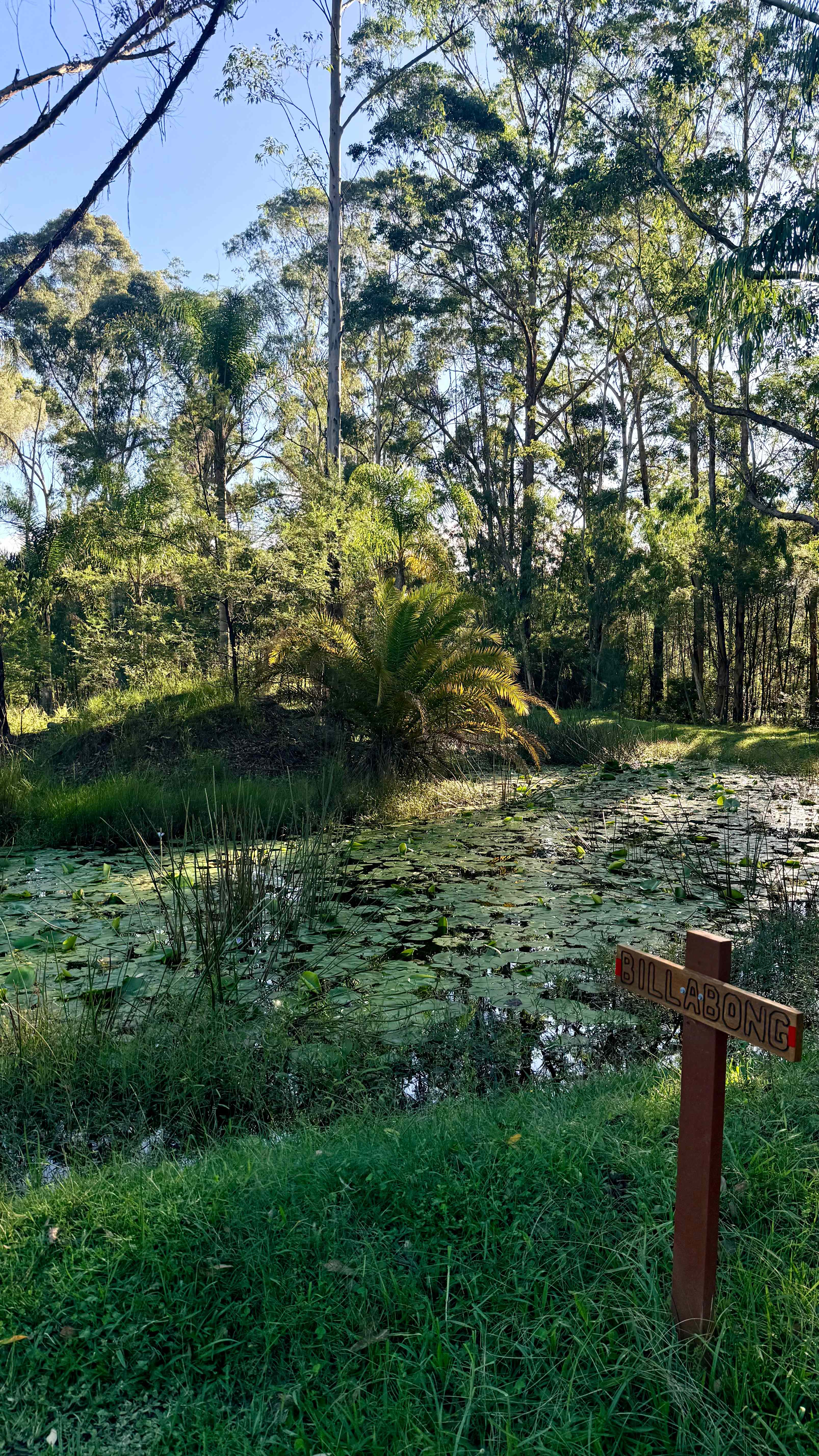 Wombat Hollow