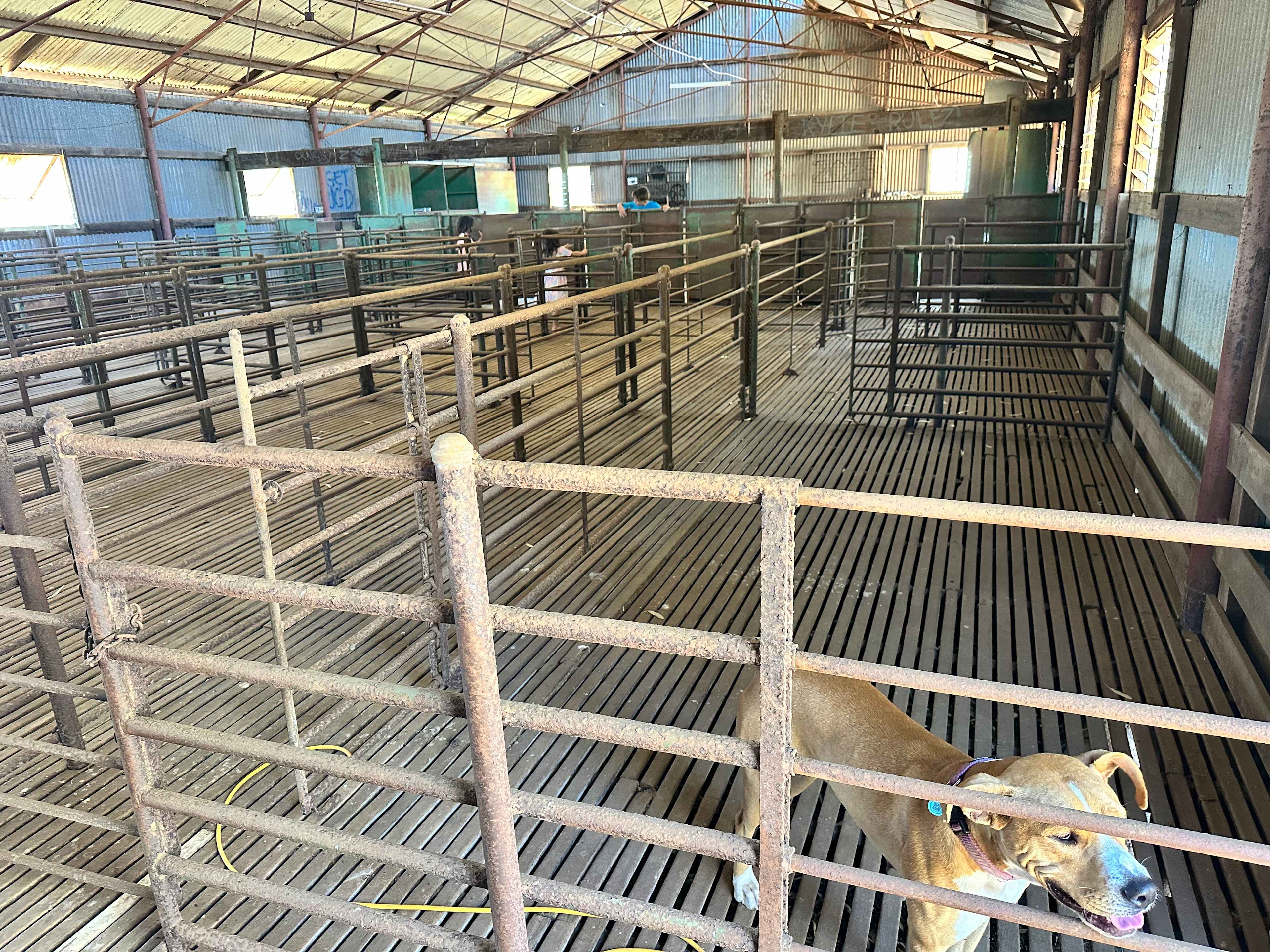 Donaville Farm