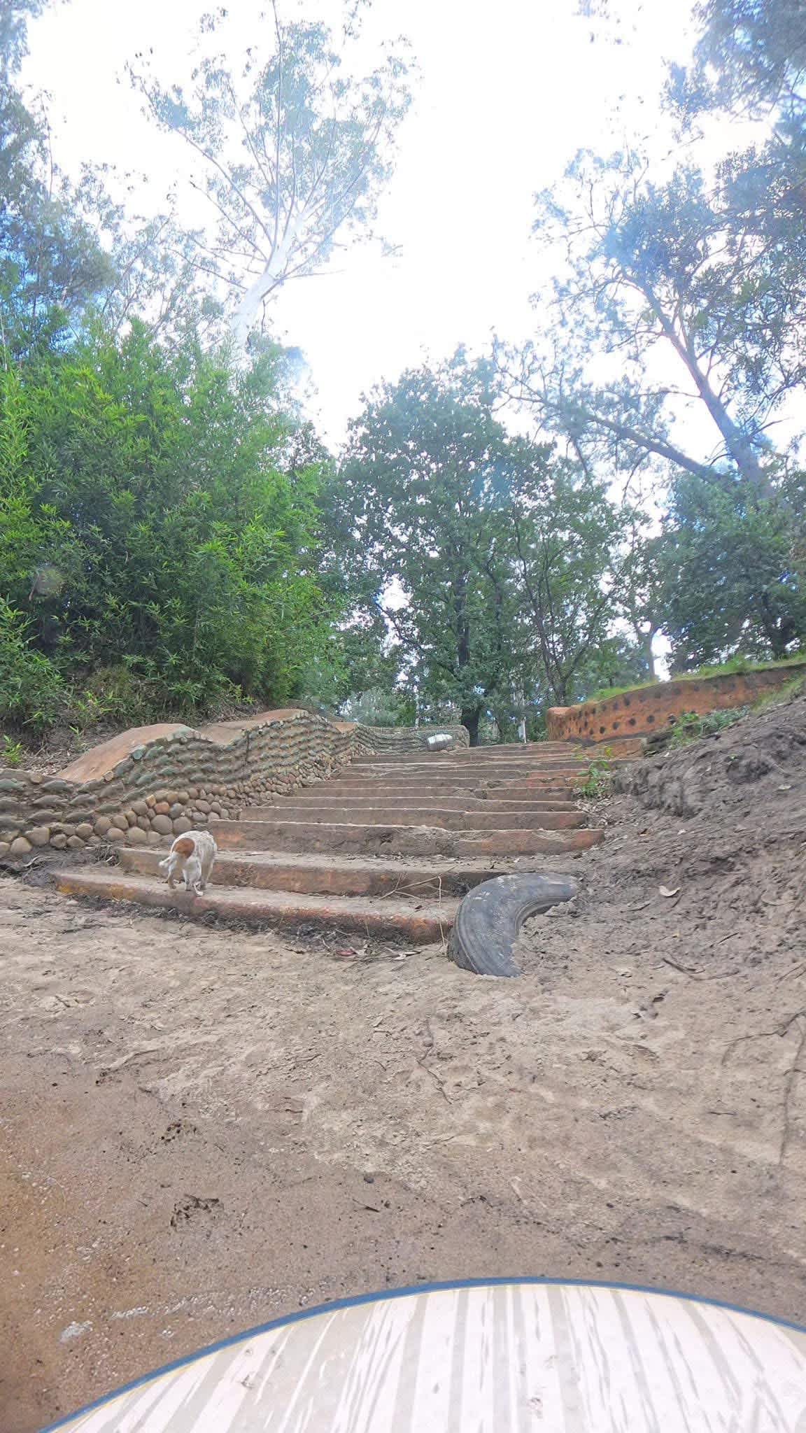 Picture of the site