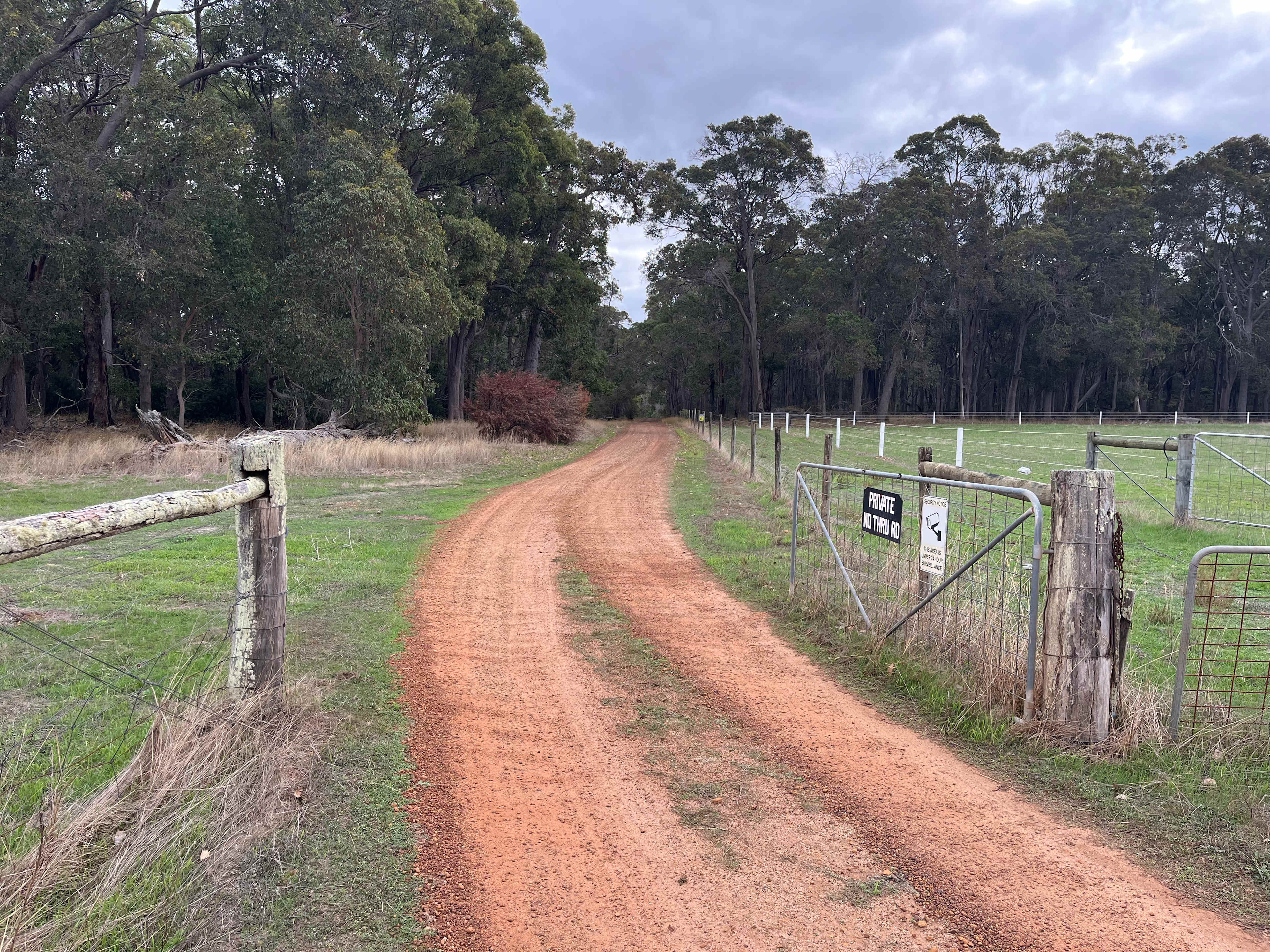 Picture of the site